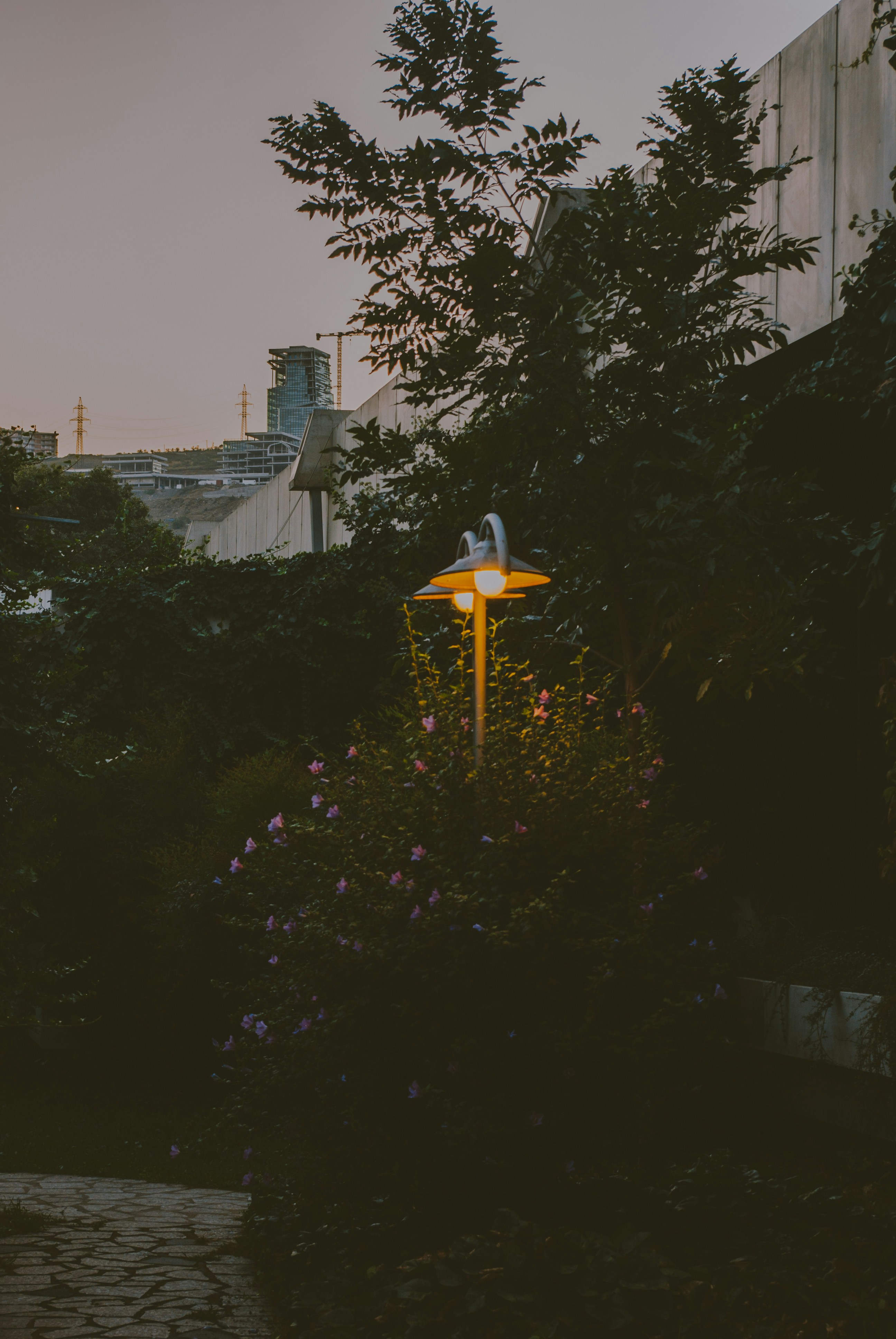 Photo by moonmoons_days