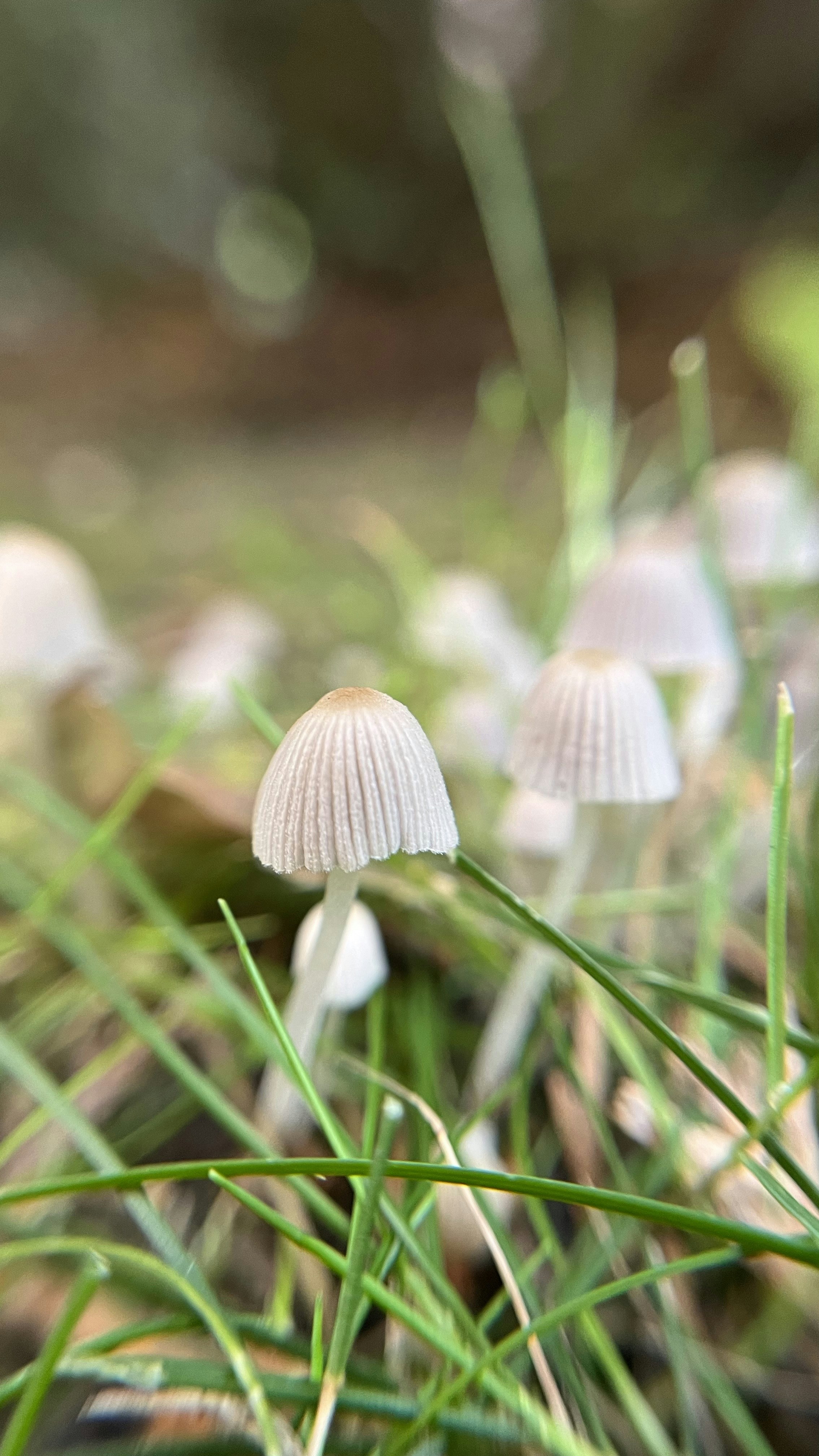 Photo by your_dream_about