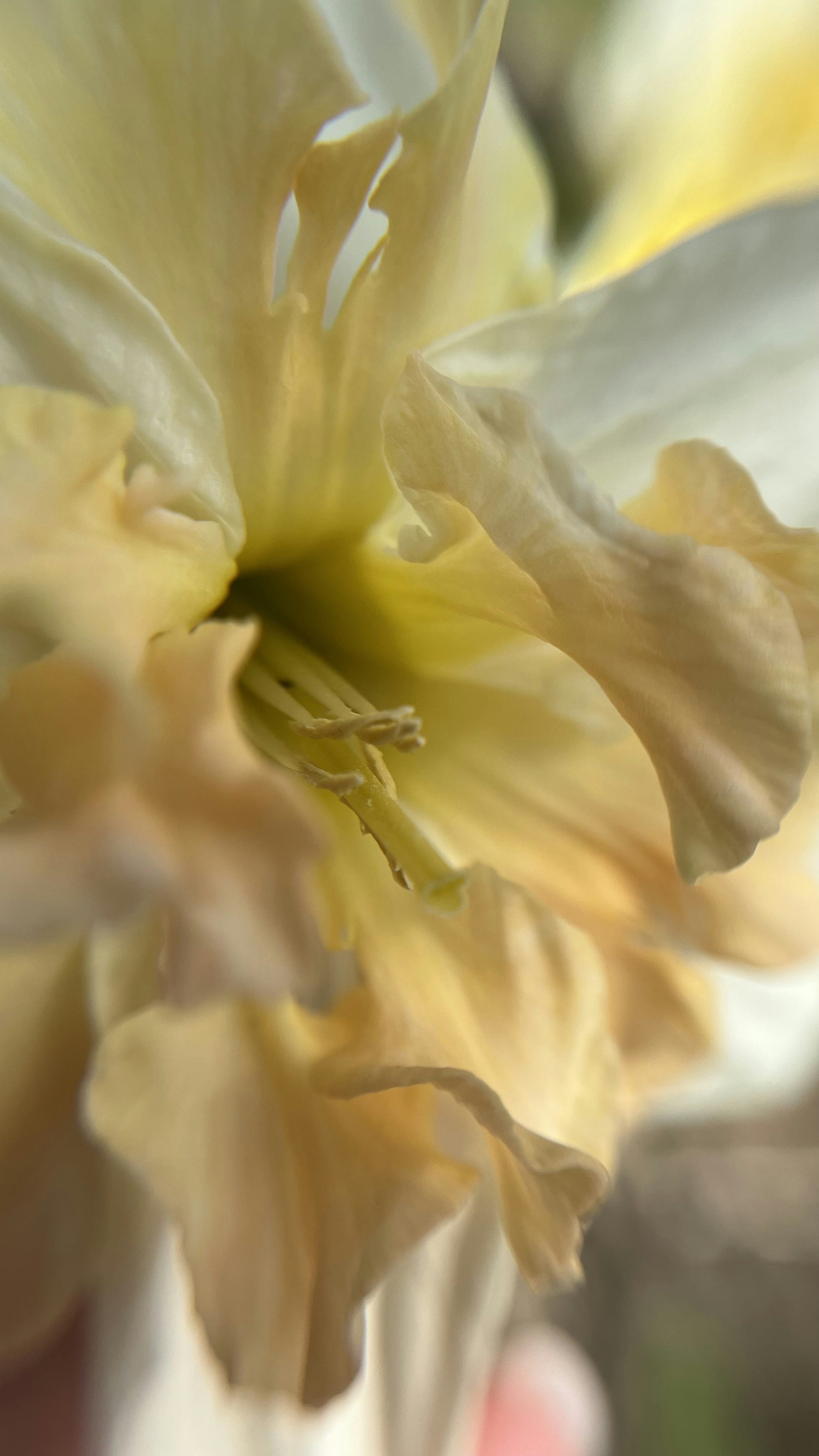 Photo by your_dream_about