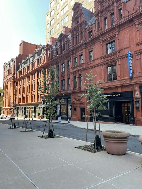 A city street featuring a row of historic, red-brick buildings with intricate architectural details. The buildings have numerous windows and ornate designs. There are small trees planted along the sidewalk and a few pedestrian walkways. The weather appears clear and bright, suggesting a sunny day.