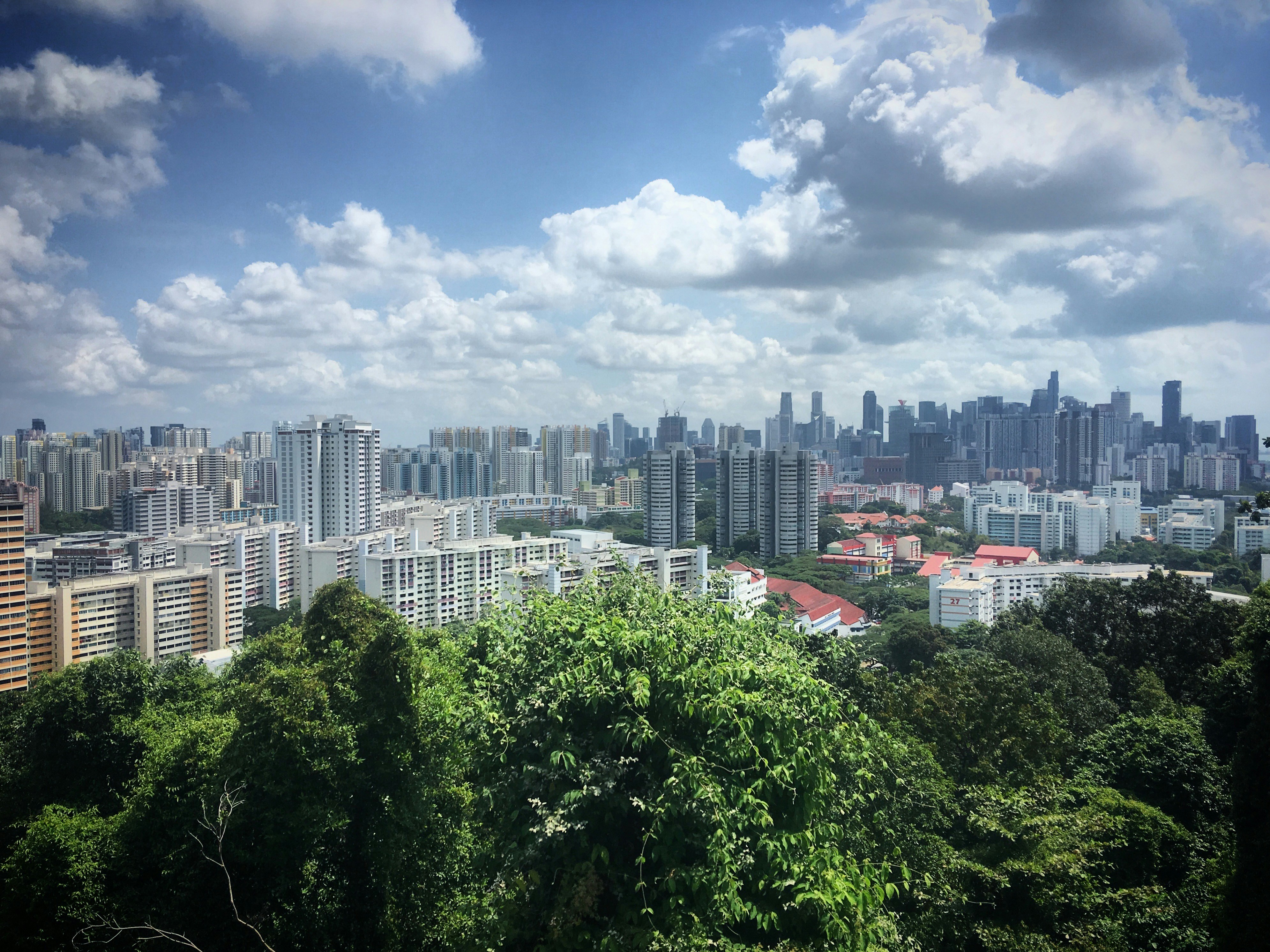 Photo by sergei_gussev