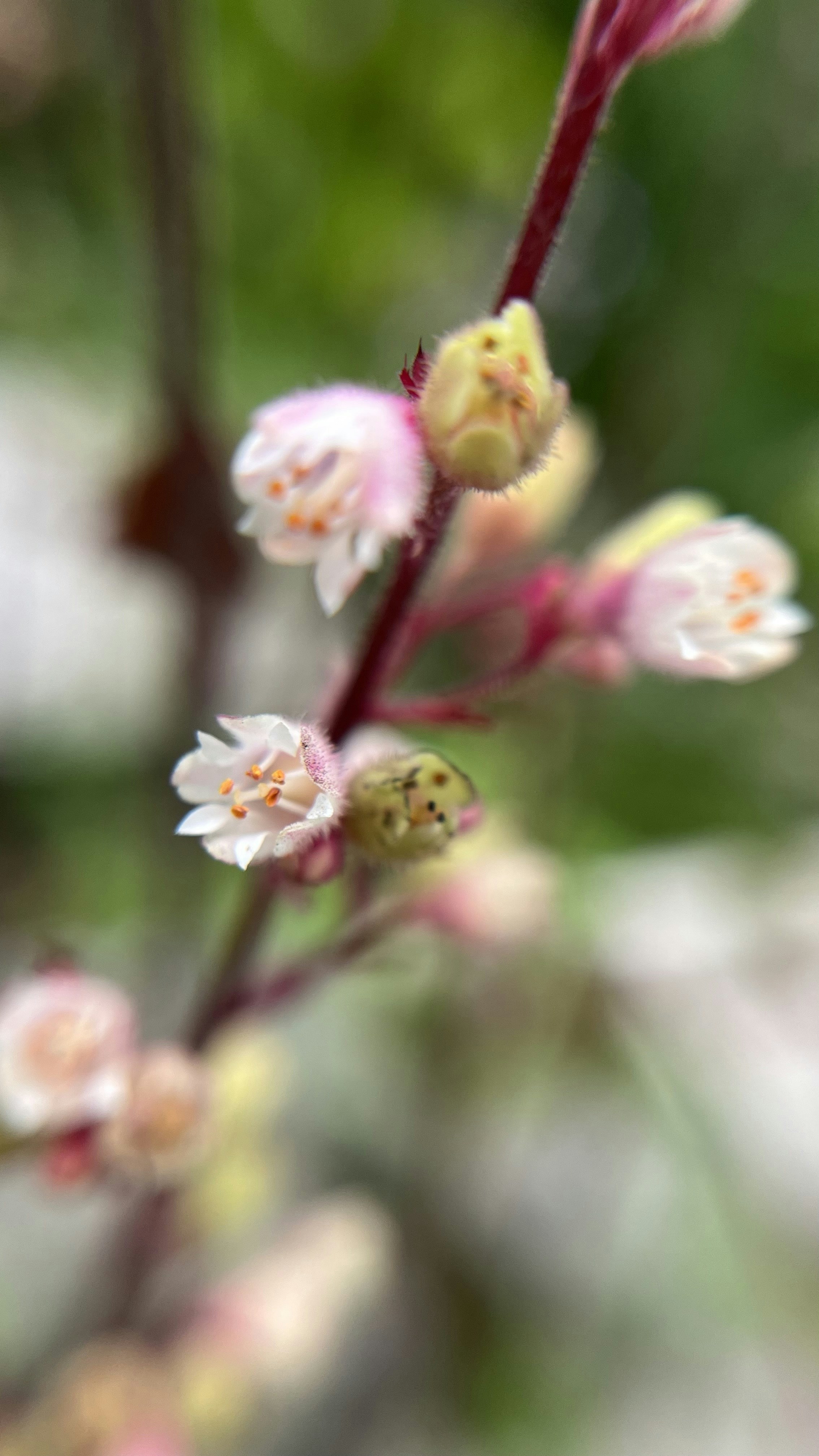 Photo by your_dream_about