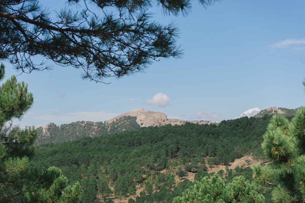 a view of a mountain from a distance