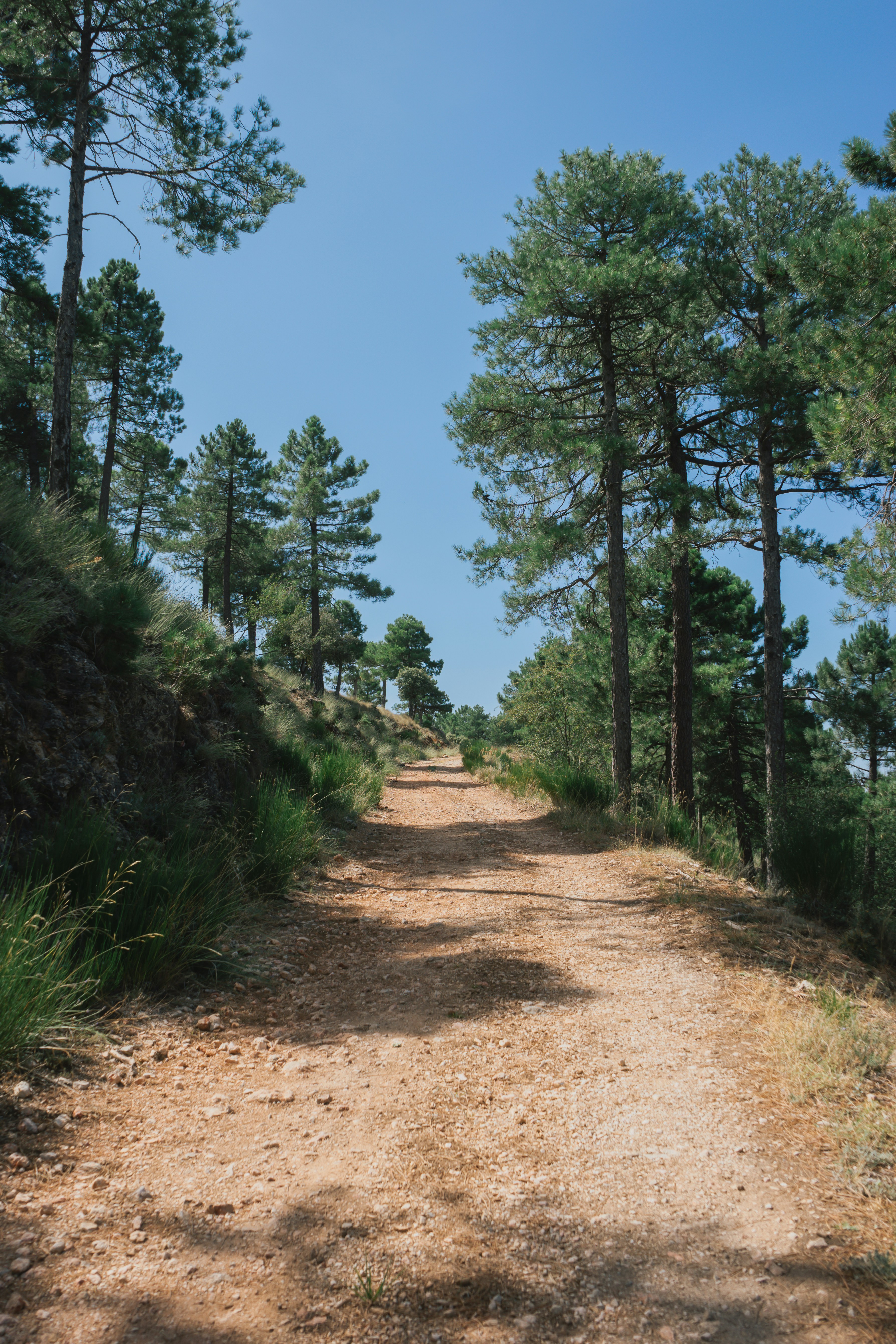 Photo by mariasolponce