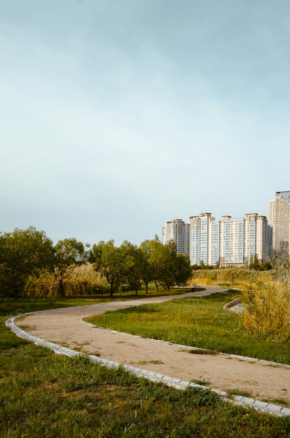 a path in a park with tall buildings in the background