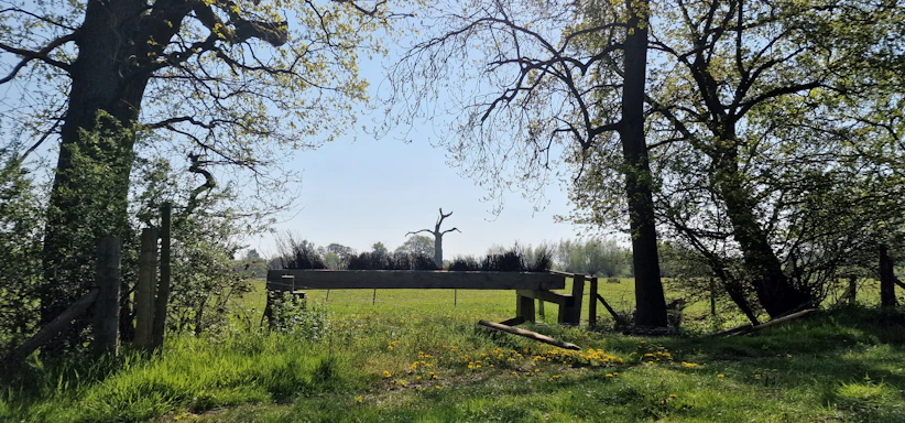 A welcoming outdoor scene at Tree House Farm with people enjoying fitness tests under sunny skies.