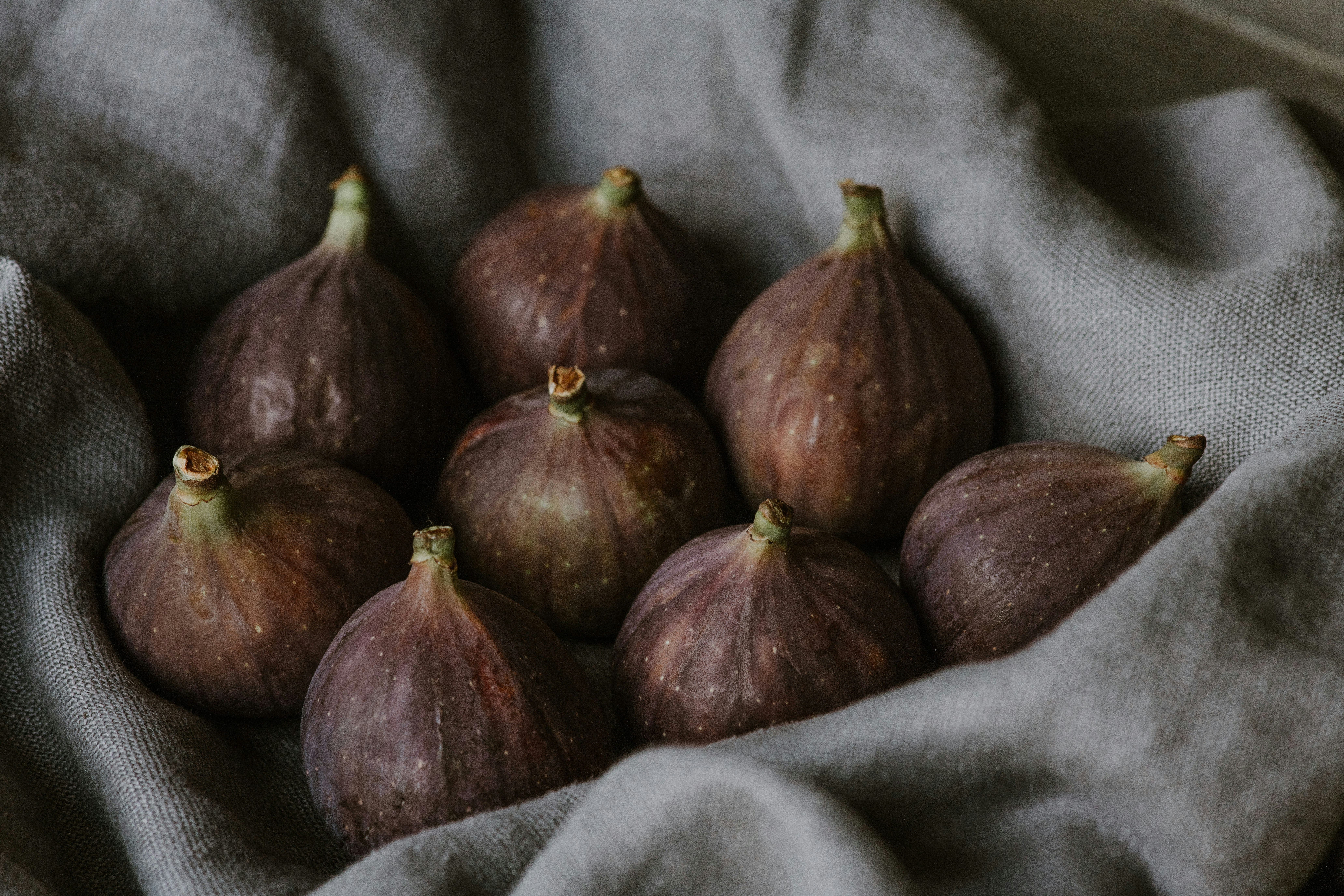 Photo by anitaaustvika