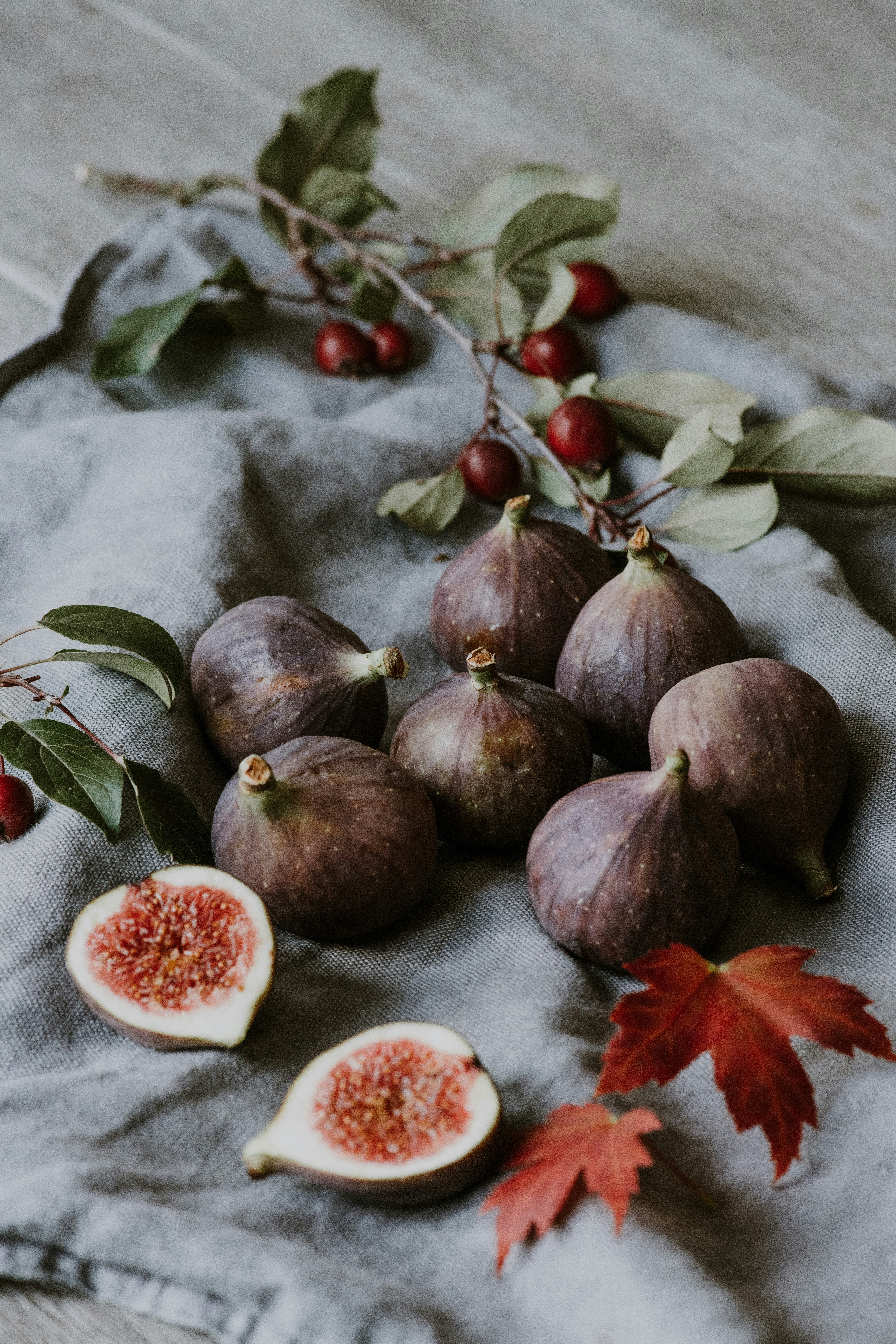 Photo by anitaaustvika