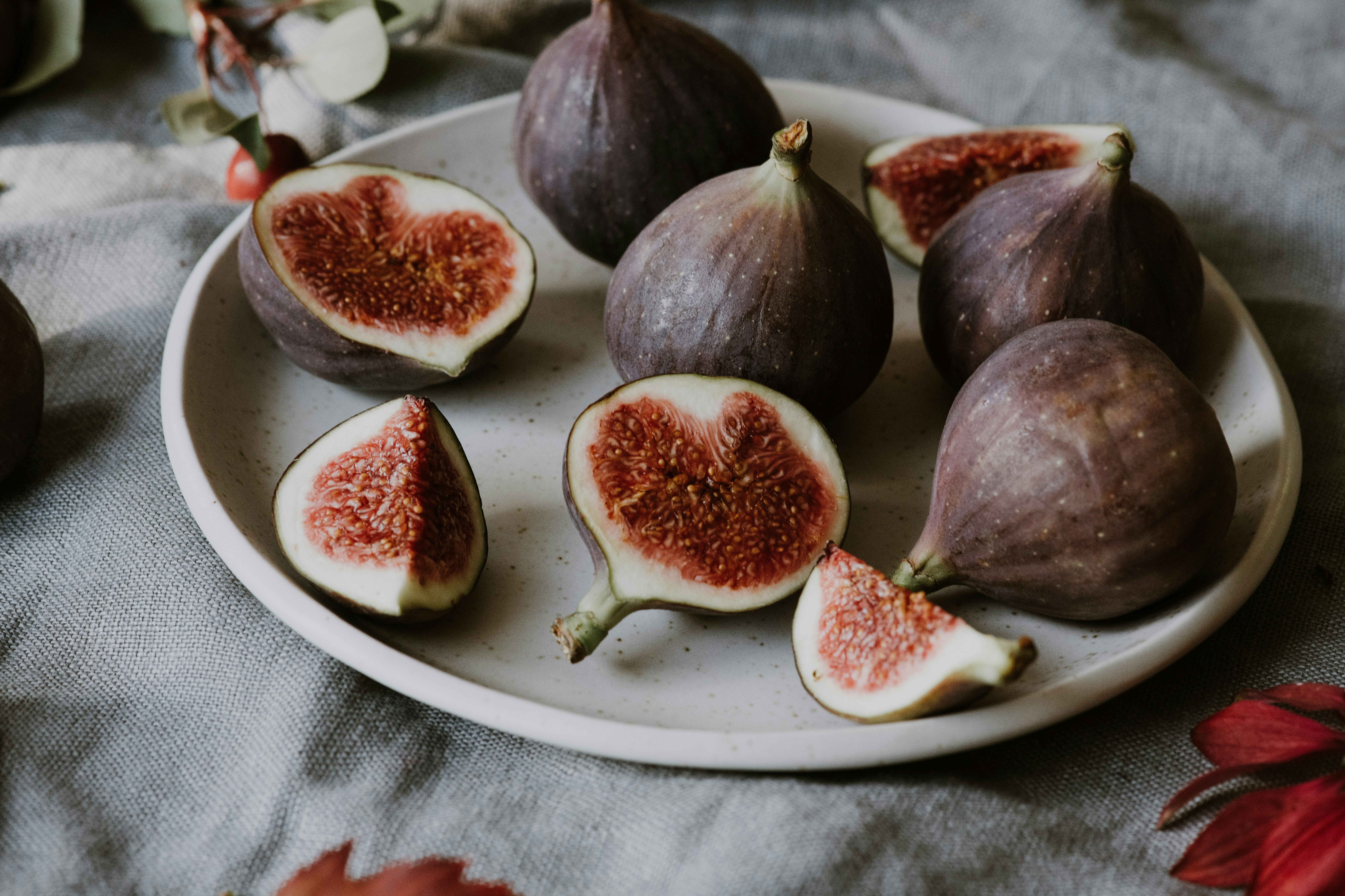 Photo by anitaaustvika