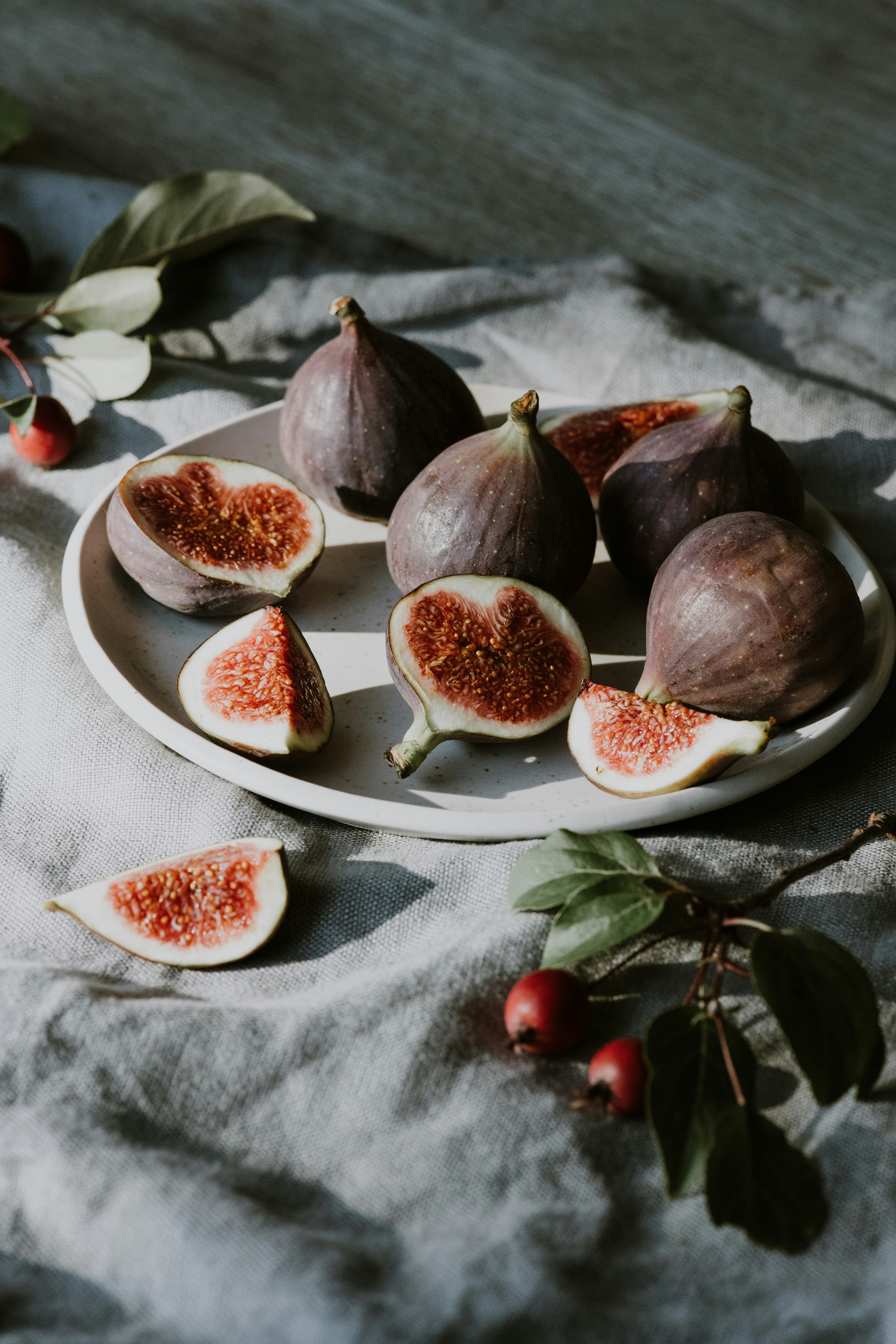 Photo by anitaaustvika