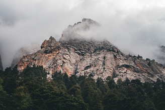 https://krisatravels.com/explore-india