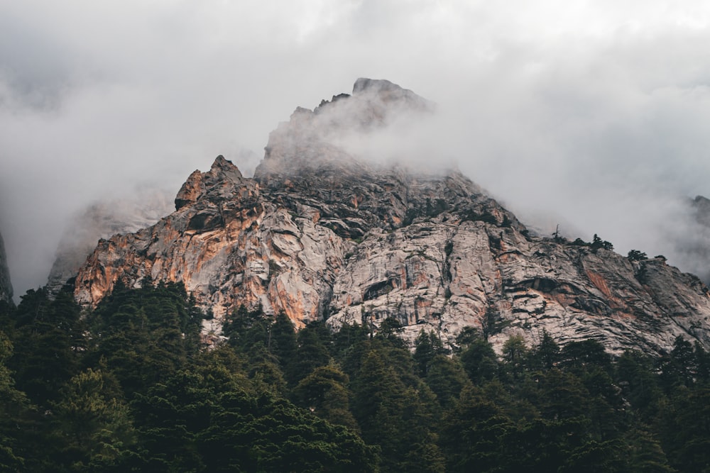 a mountain covered in clouds and trees on a cloudy day