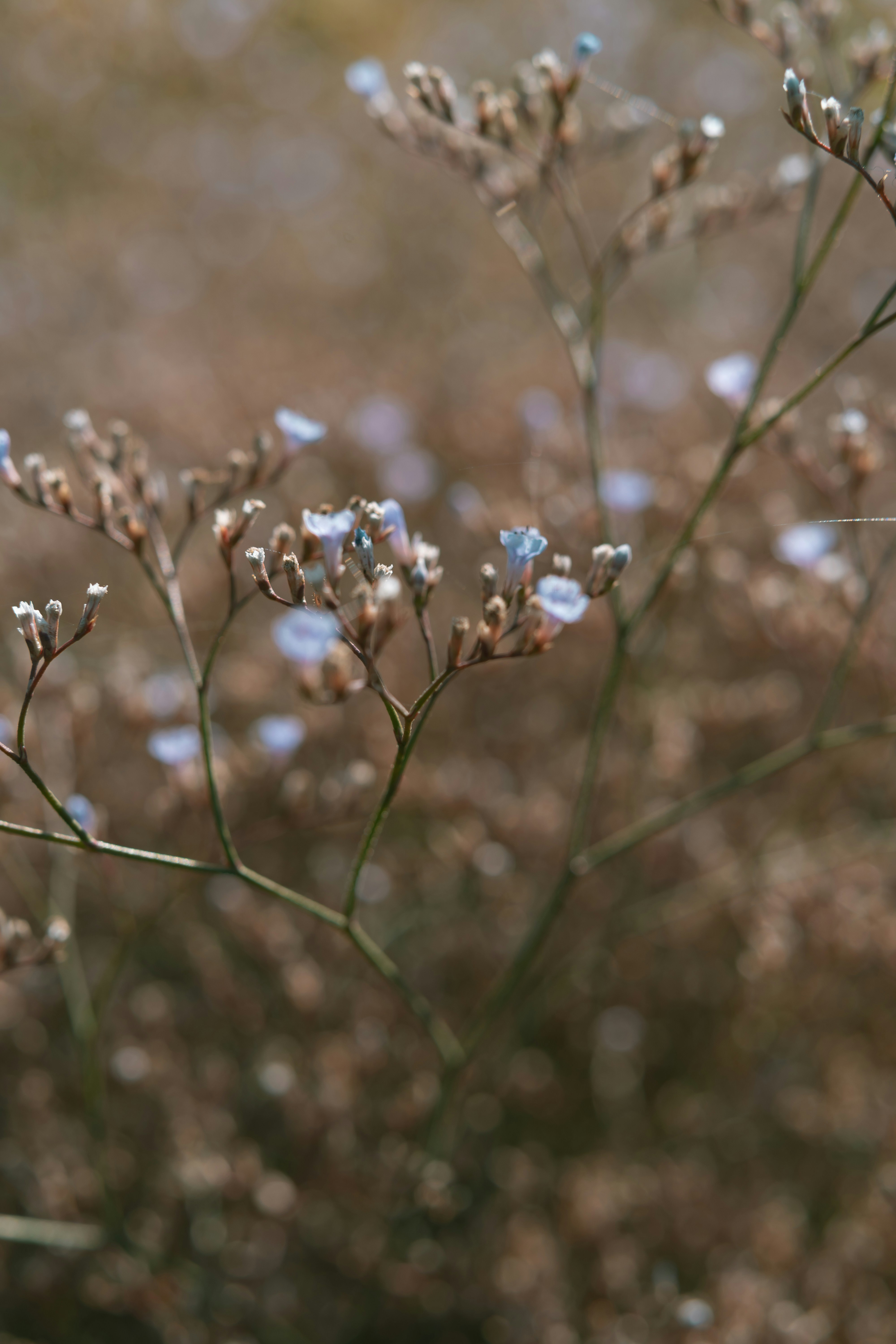 Photo by anamnesis33