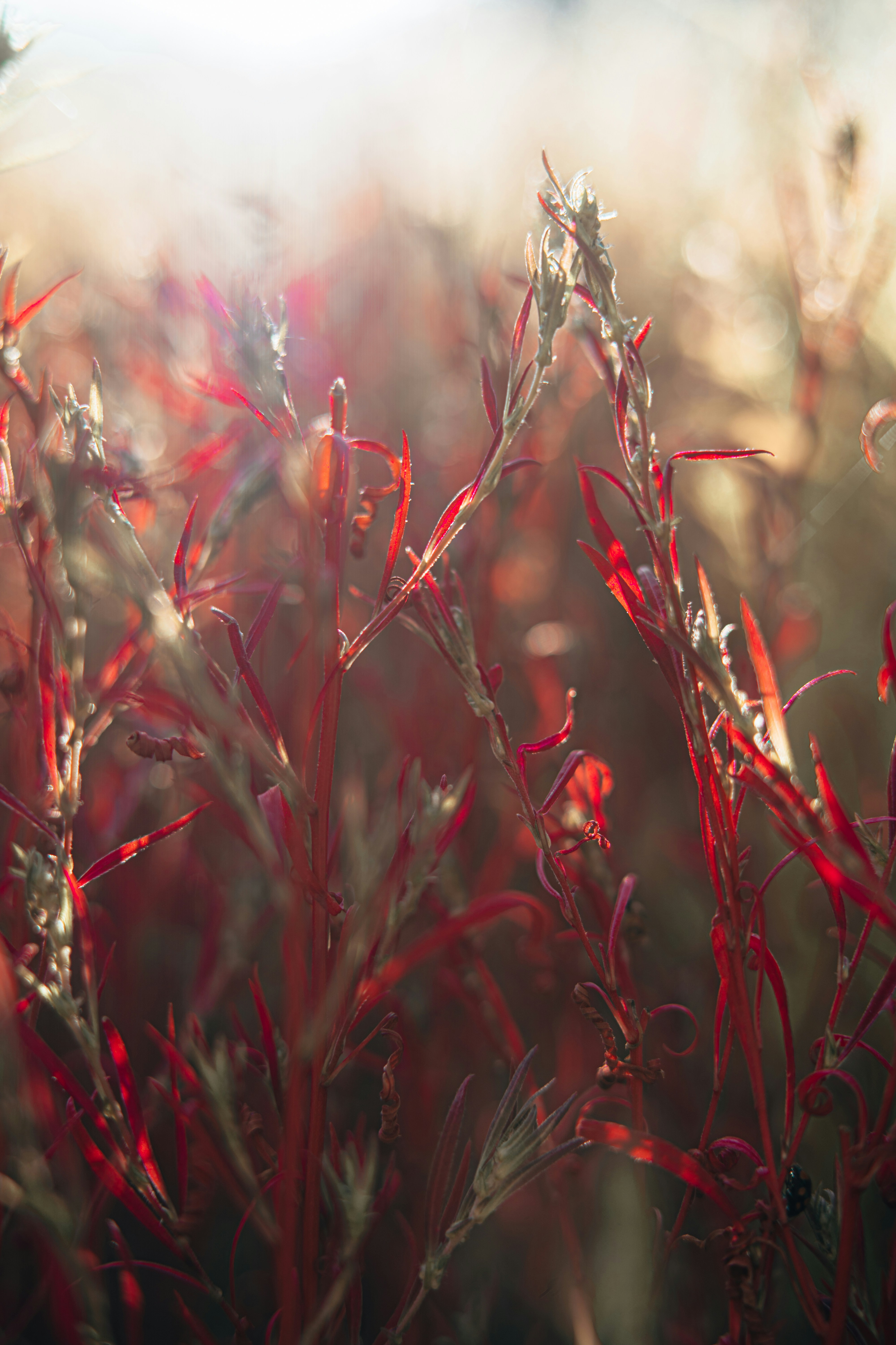 Photo by anamnesis33