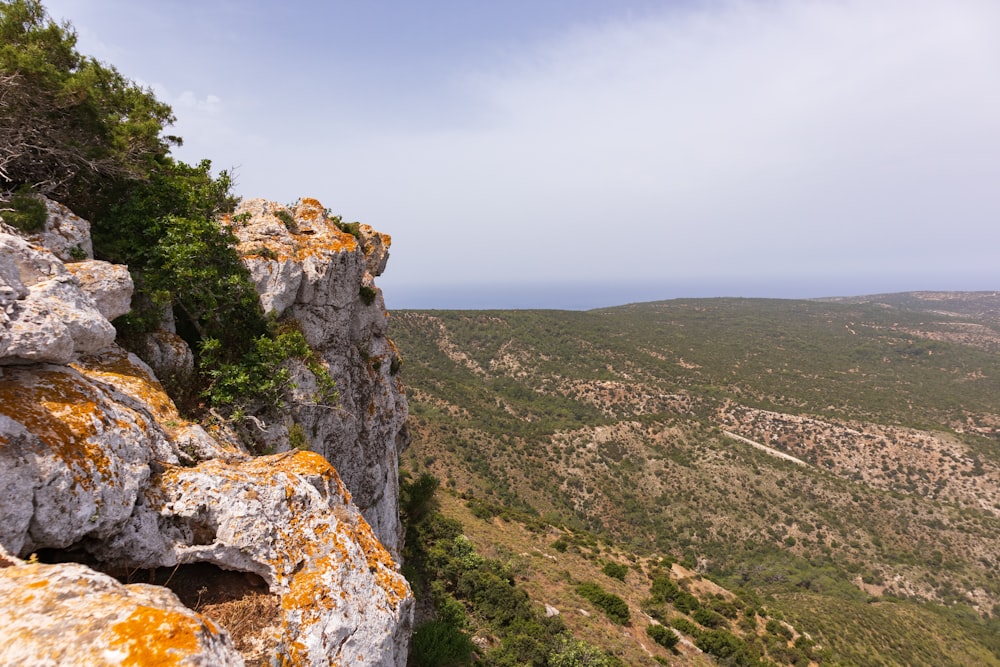 a view of a valley from a high cliff