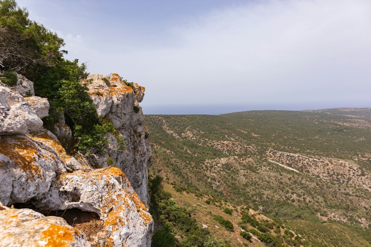 Cyprus: The Divided Island of Aphrodite