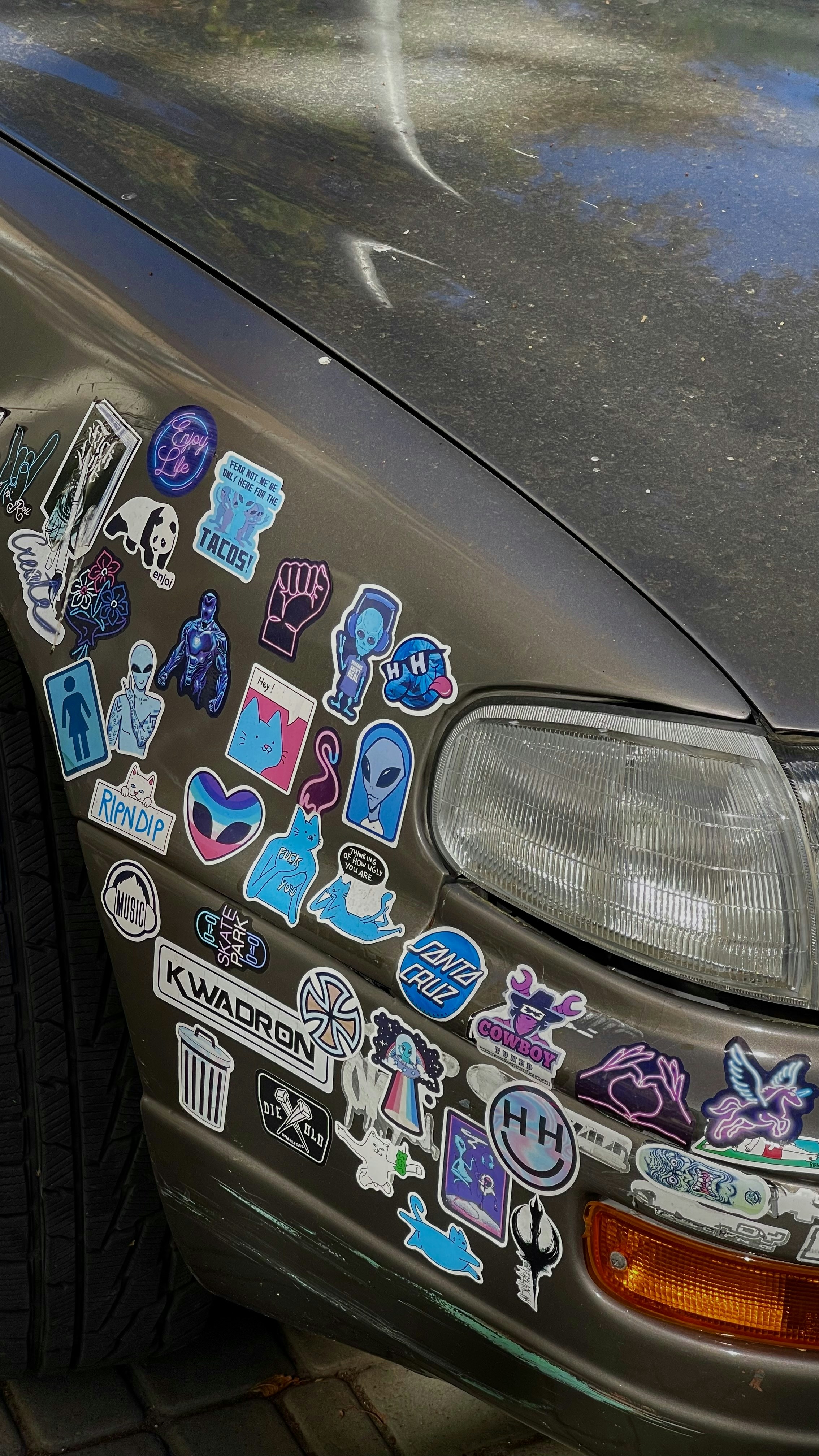 Express Yourself Boldly