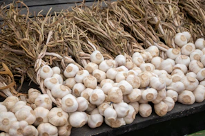 Close-up of freshly harvested garlic bulbs neatly arranged in a rustic basket