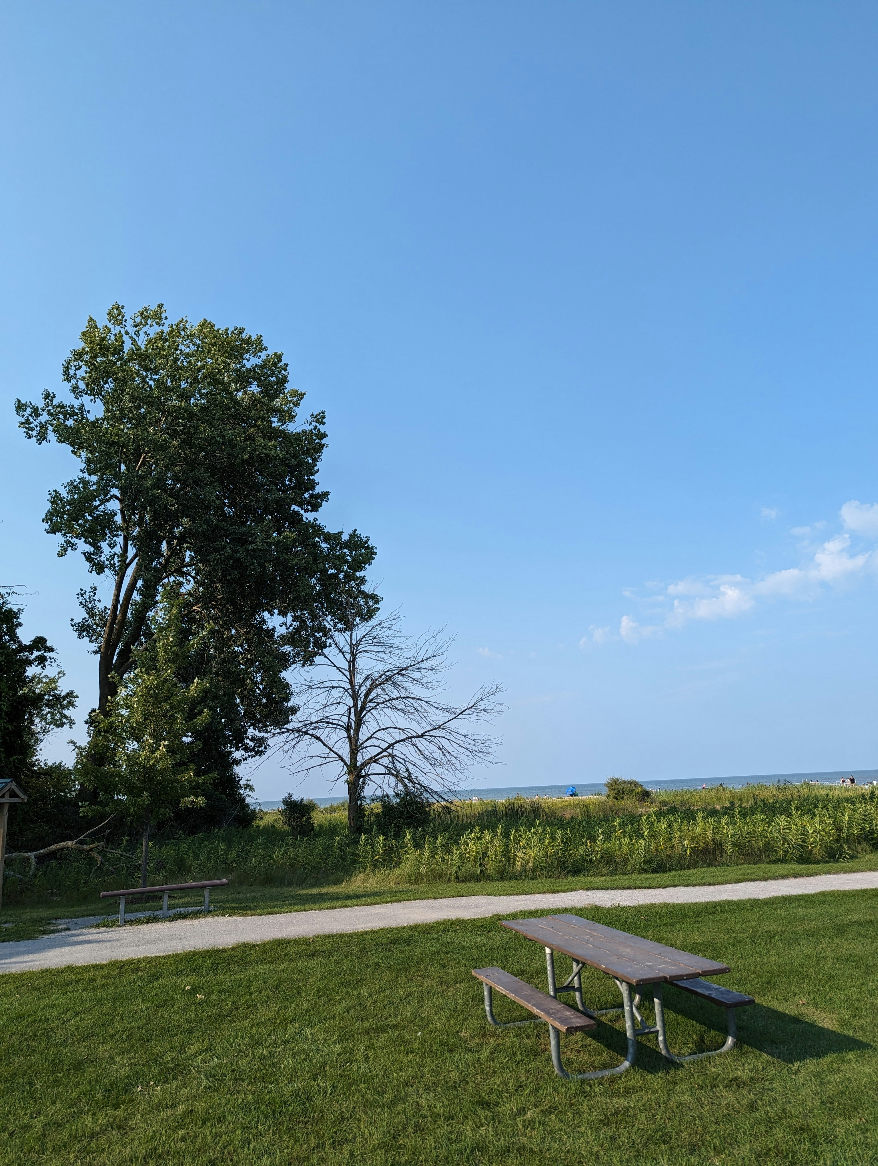 Photo by nicknaters8