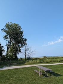 A serene landscape with friends enjoying an outdoor picnic.