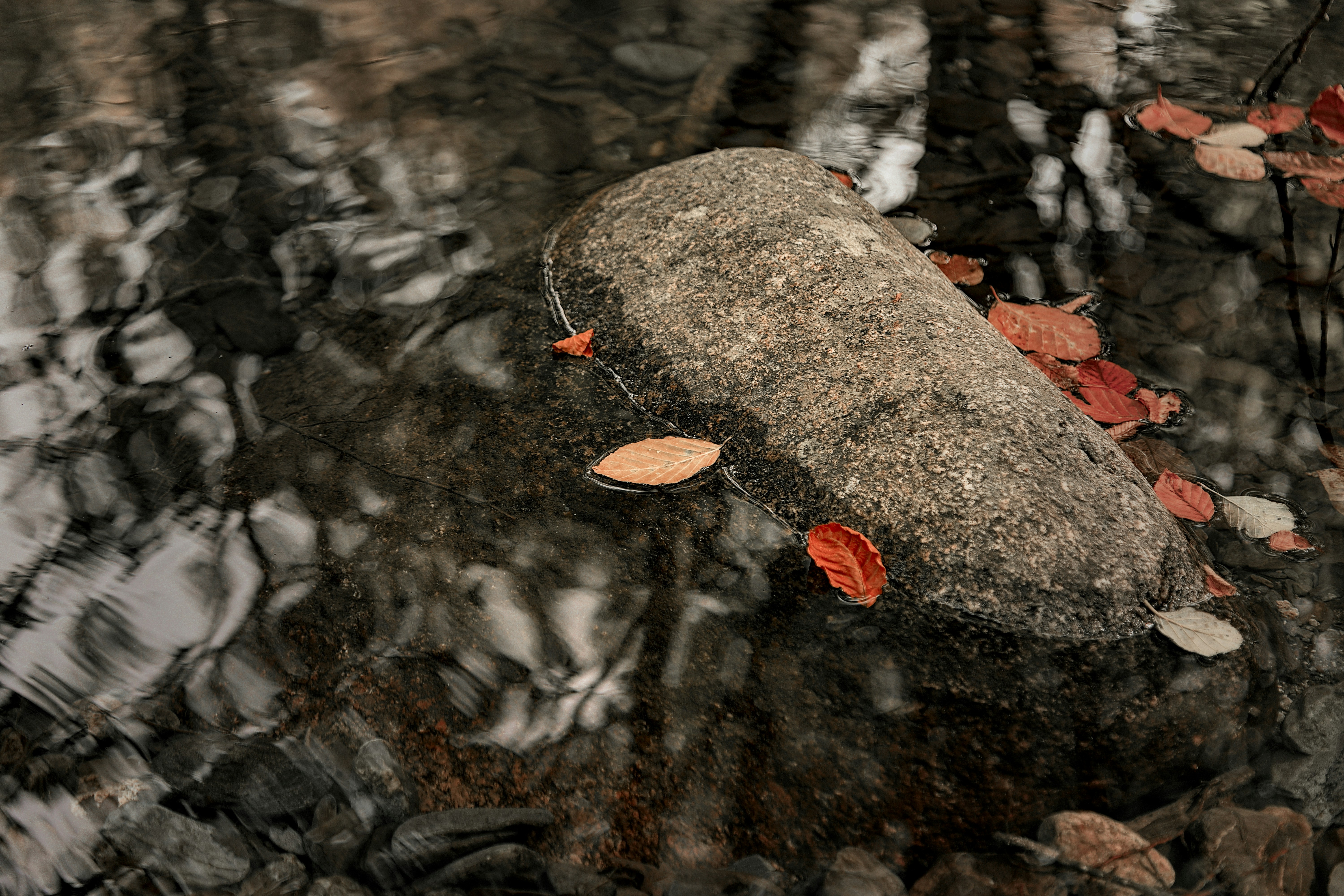 Photo by blooddrainer