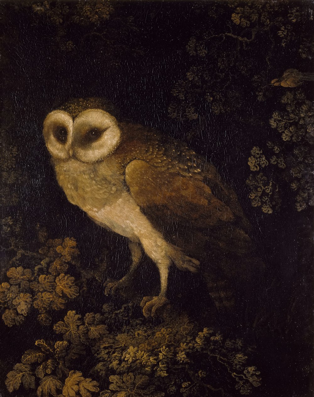 a painting of an owl sitting on a branch