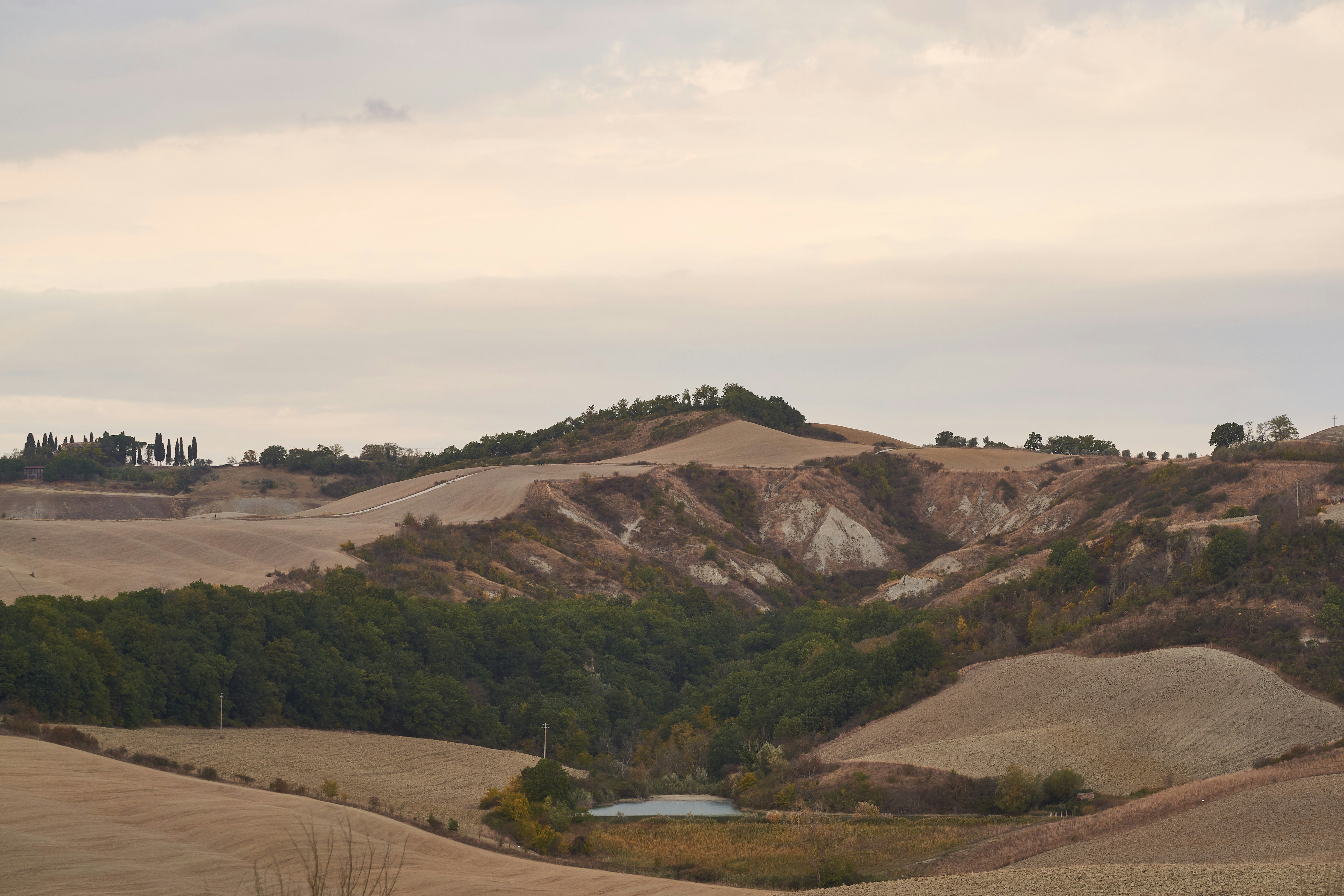 Photo by wolfgang_hasselmann