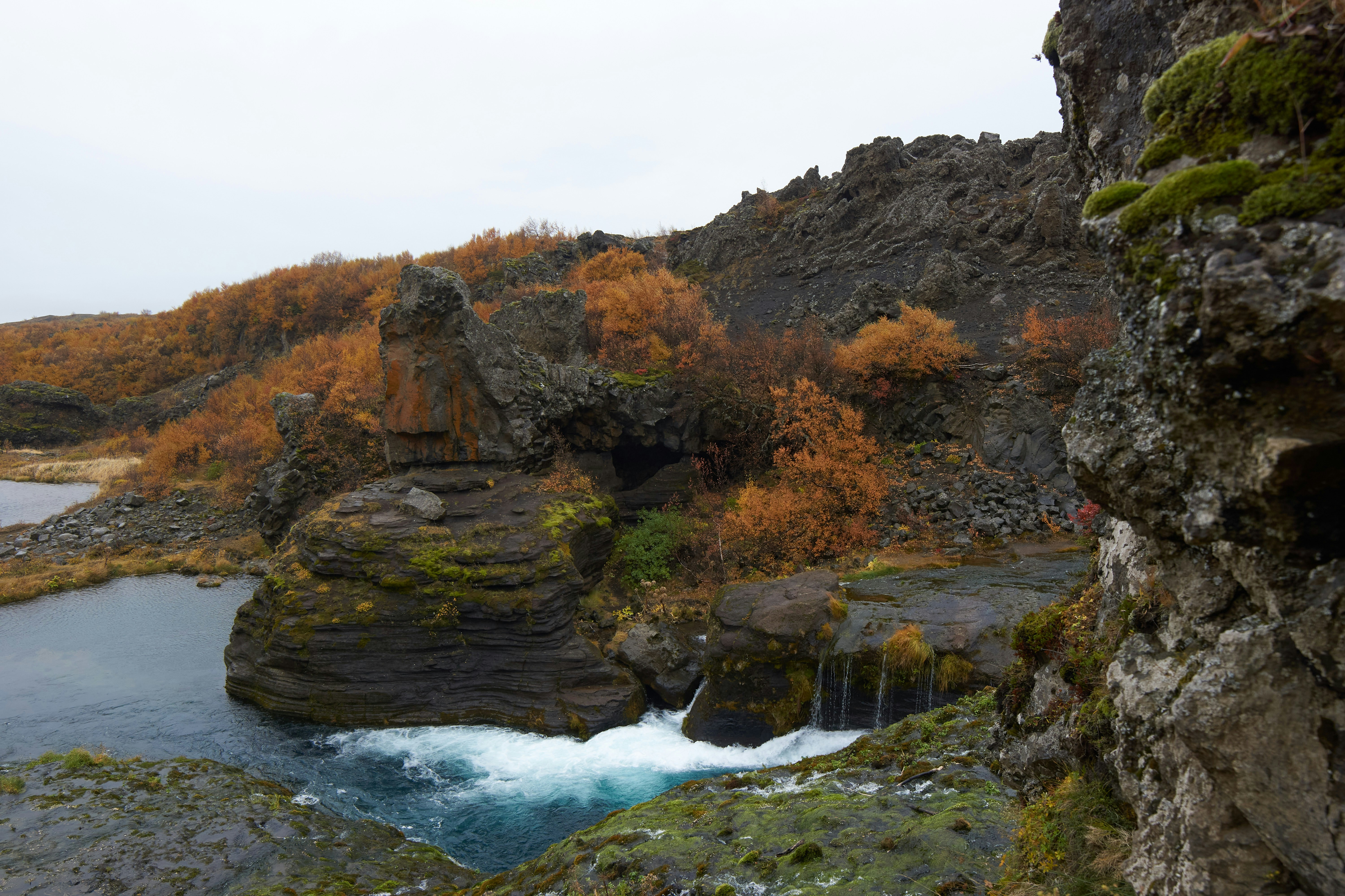 Photo by wolfgang_hasselmann