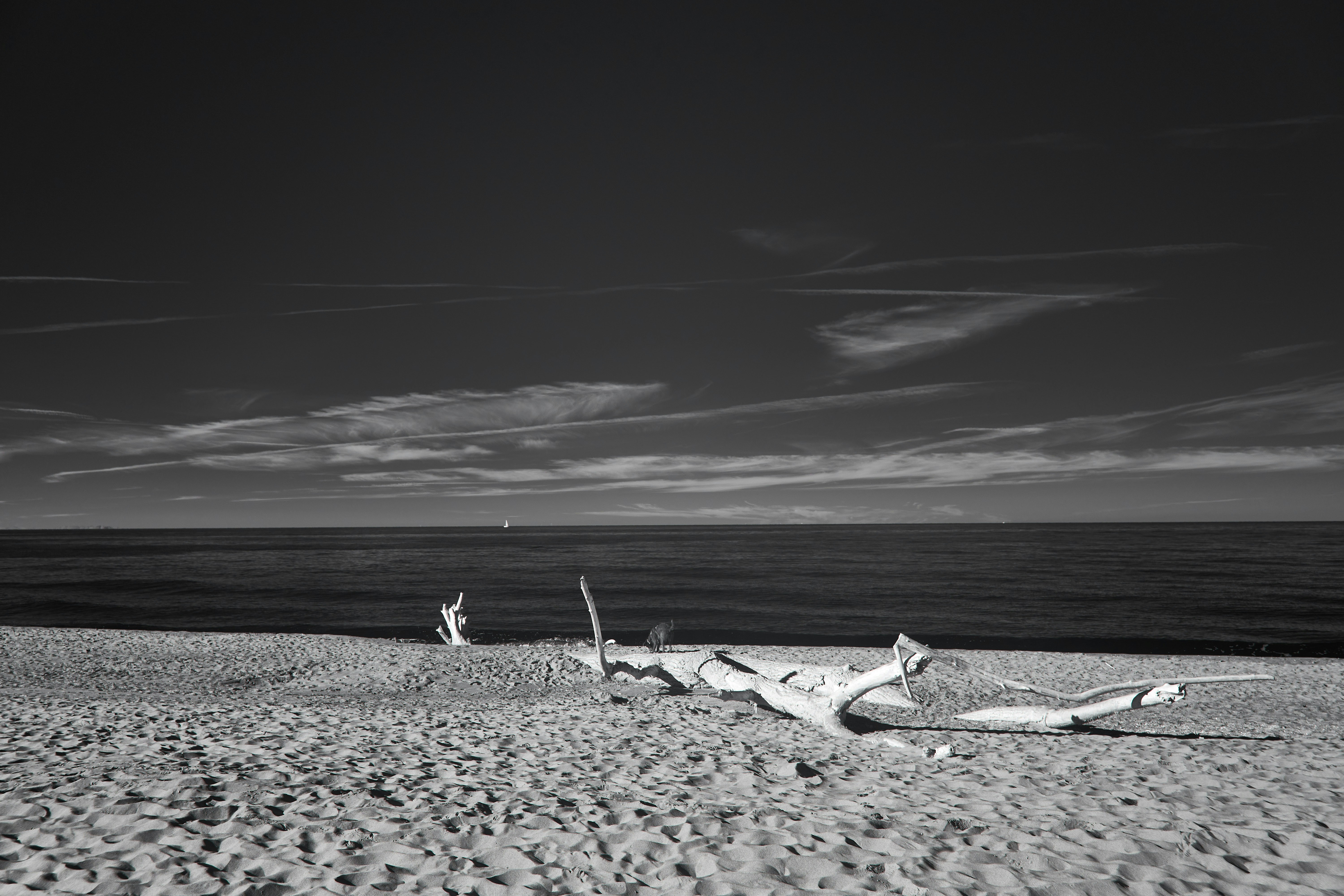 Photo by wolfgang_hasselmann