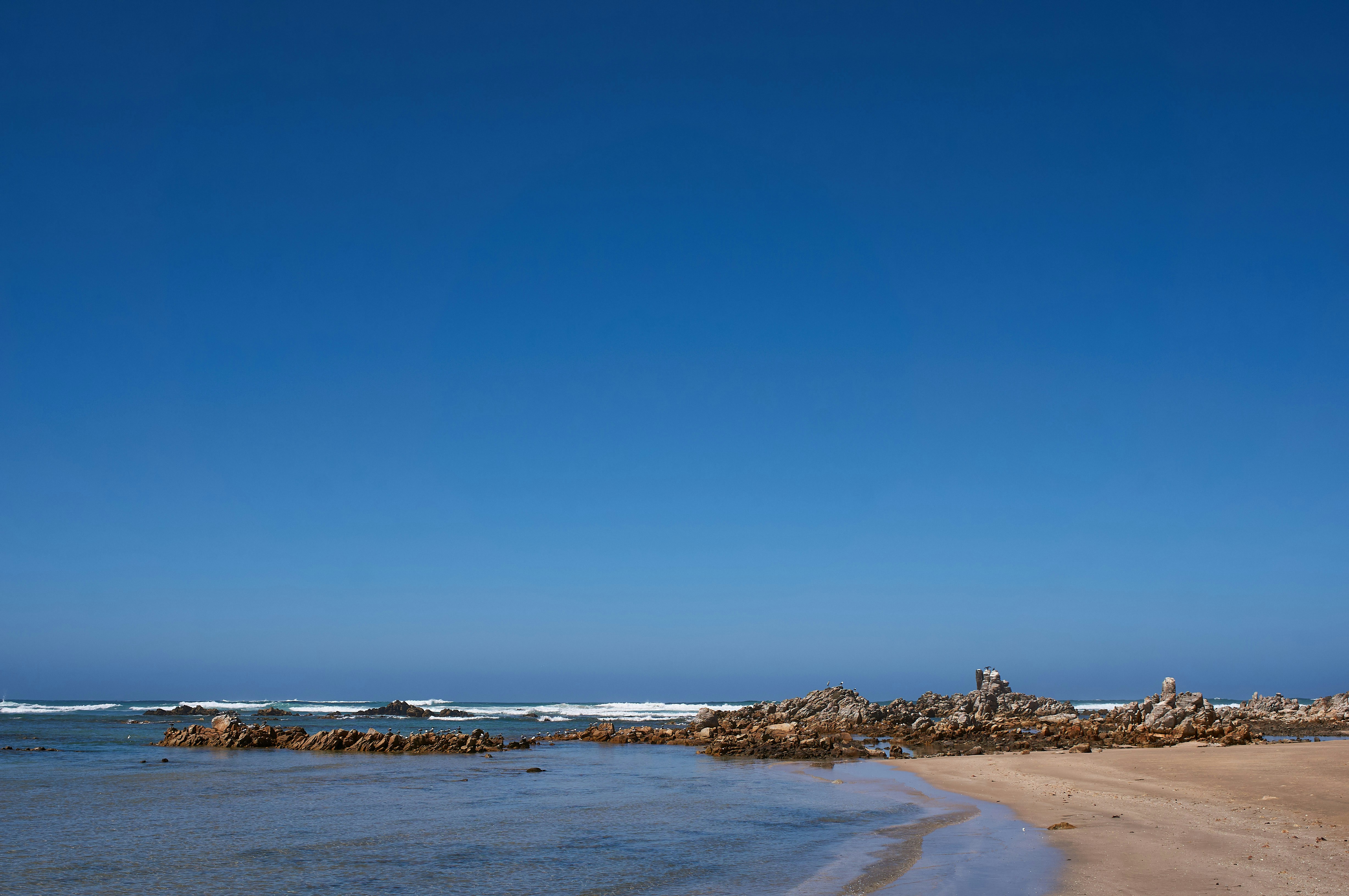 Photo by wolfgang_hasselmann