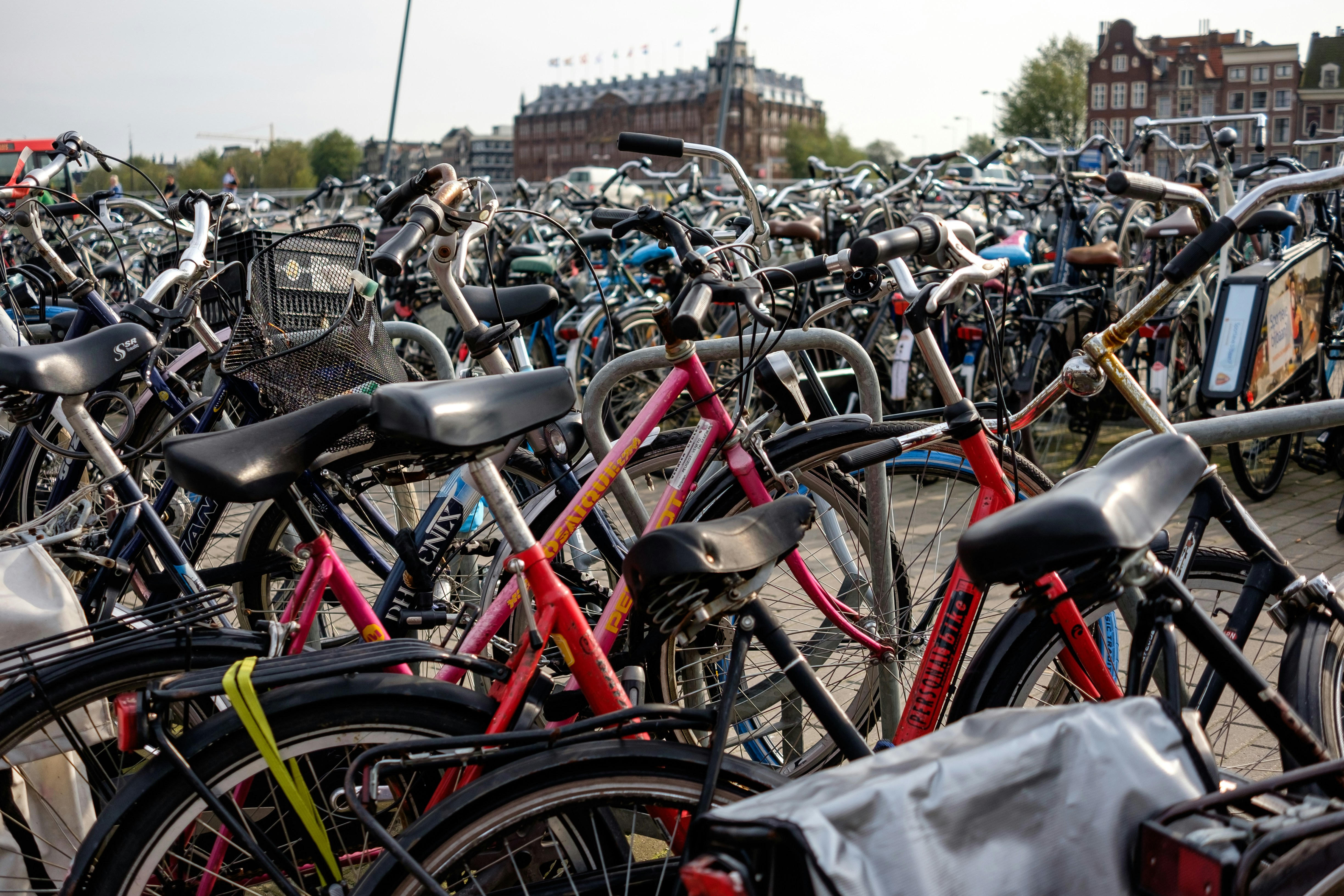 Photo by mayumimaciel