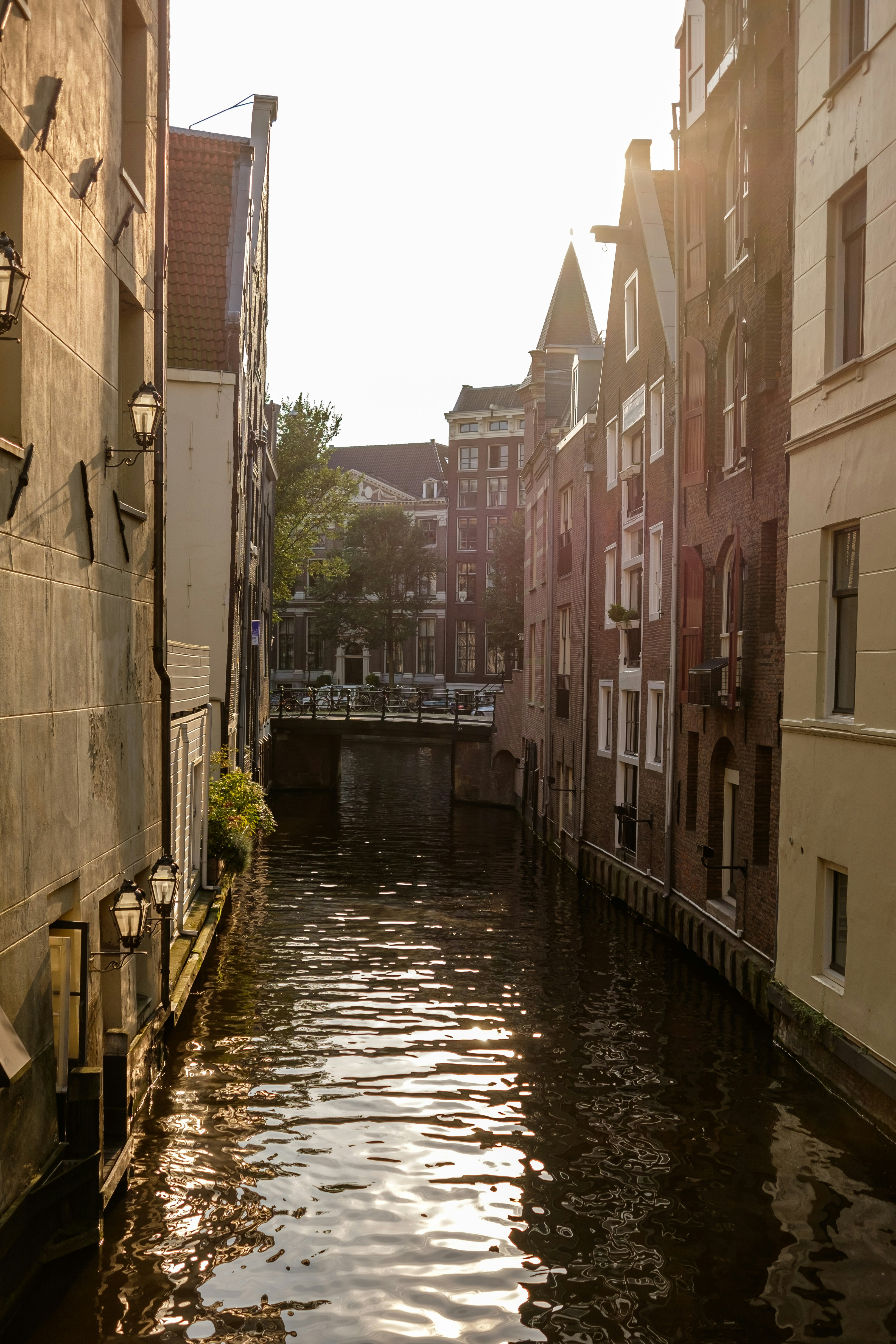 Photo by mayumimaciel