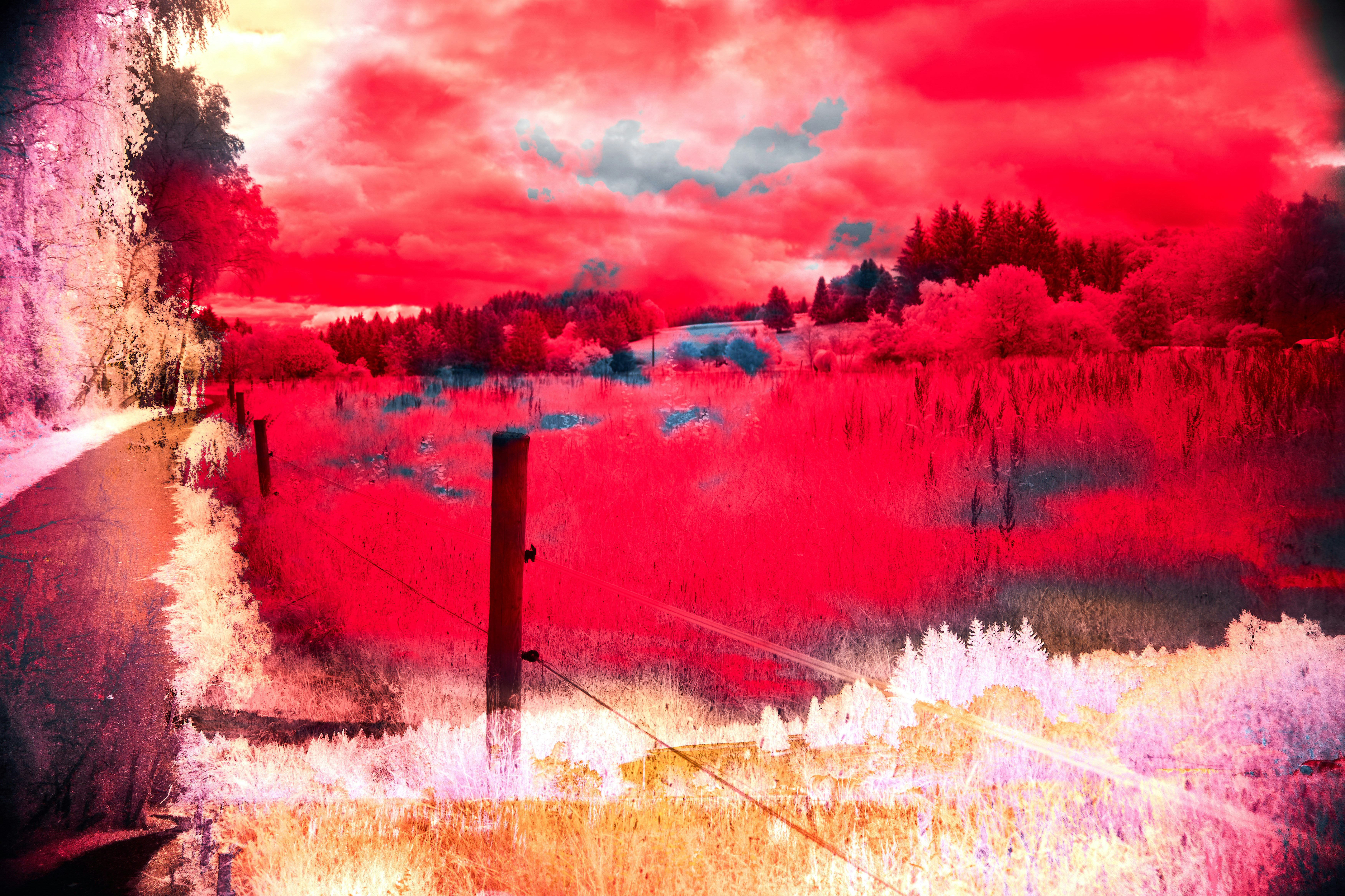 Photo by wolfgang_hasselmann