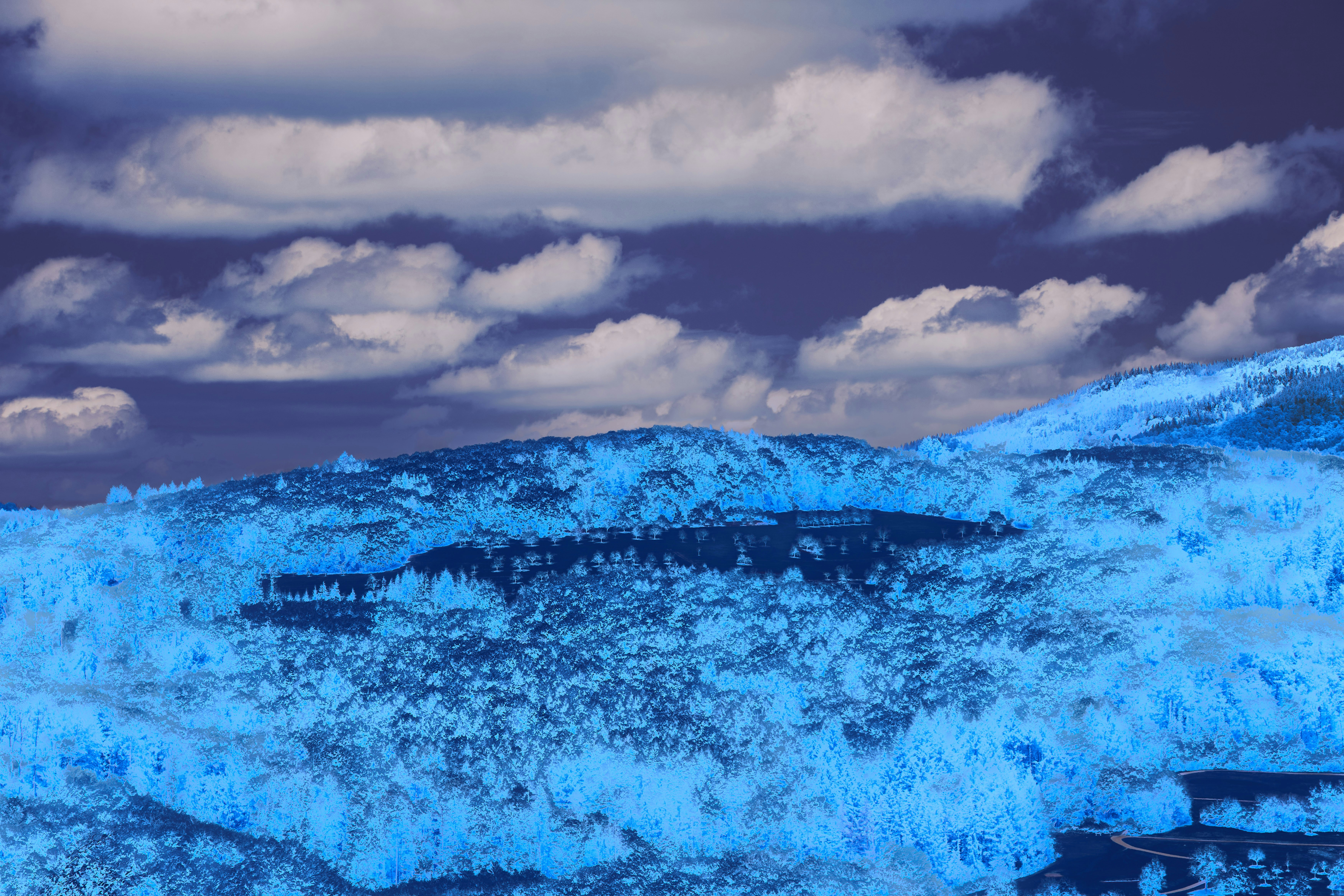 Photo by wolfgang_hasselmann