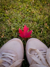 A bright red maple leaf lies on green grass between two white sneakers. The grass is lush and well-maintained.