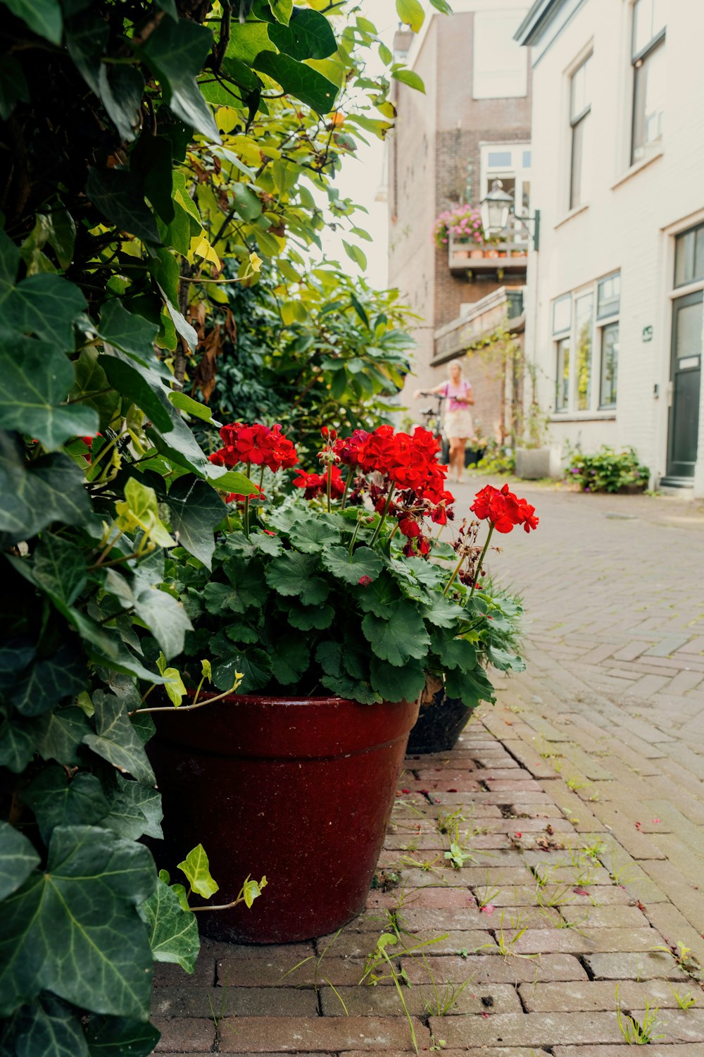 a brick sidewalk with potted plants on it