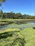 A freshly dug pond surrounded by lush greenery under a clear blue sky.