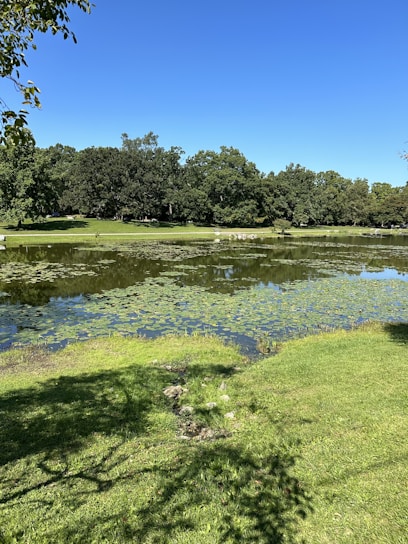 A serene fish farm pond surrounded by lush greenery under a clear blue sky.