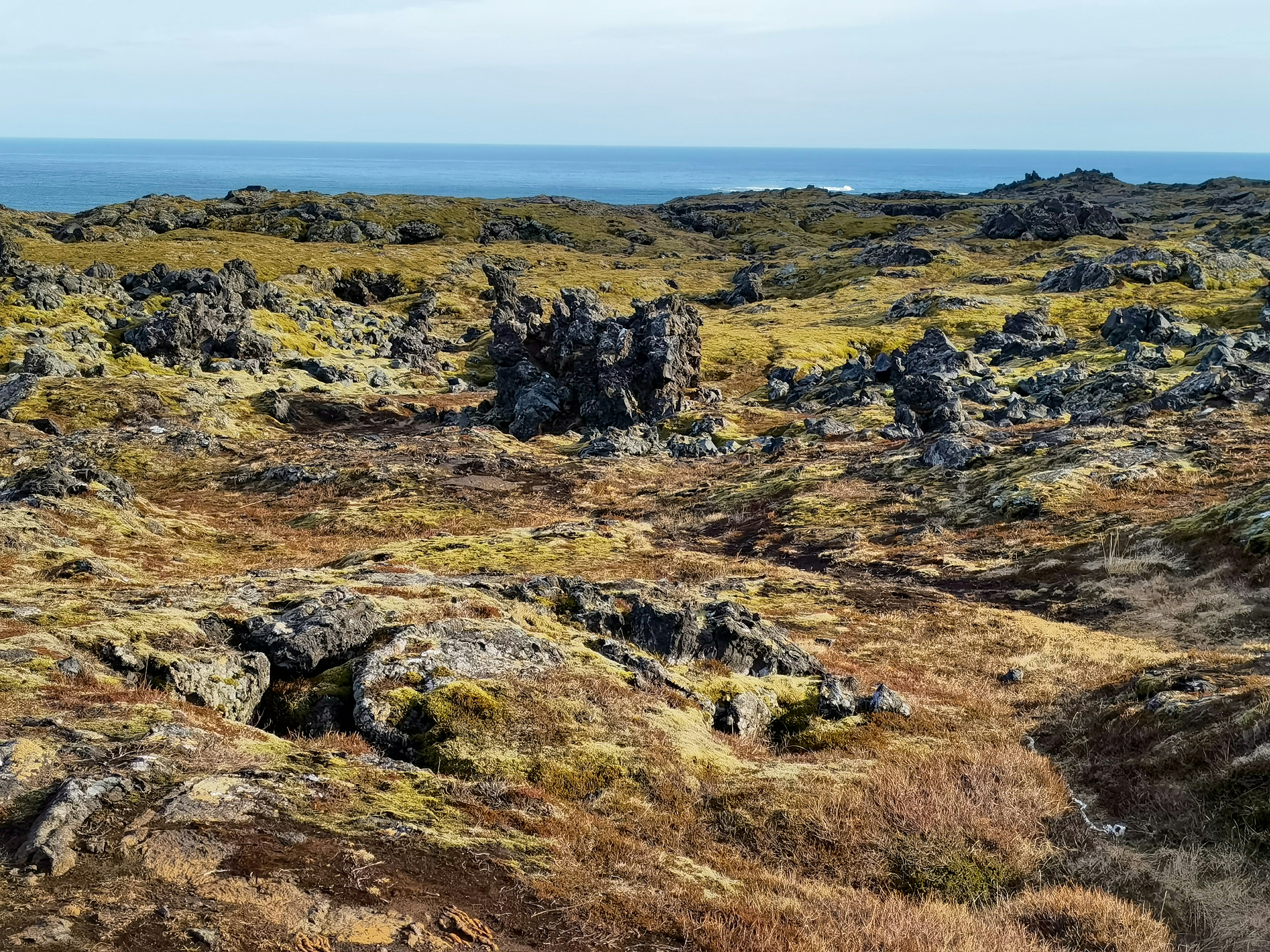 Photo by stan_adrian