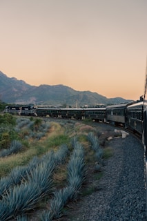 A vintage Mexican train crossing a lush green valley at sunrise