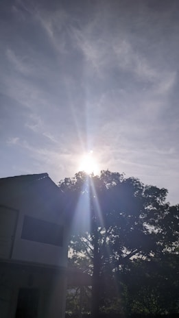 A serene image depicting hope and healing.