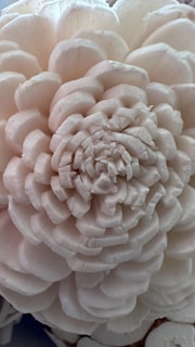 Artistic demonstration of narcissus bulb carving technique with traditional Vietnamese Tet patterns subtly visible around.