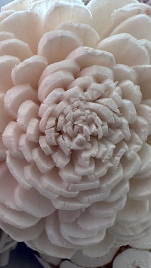 Artistic demonstration of narcissus bulb carving technique with traditional Vietnamese Tet patterns subtly visible around.