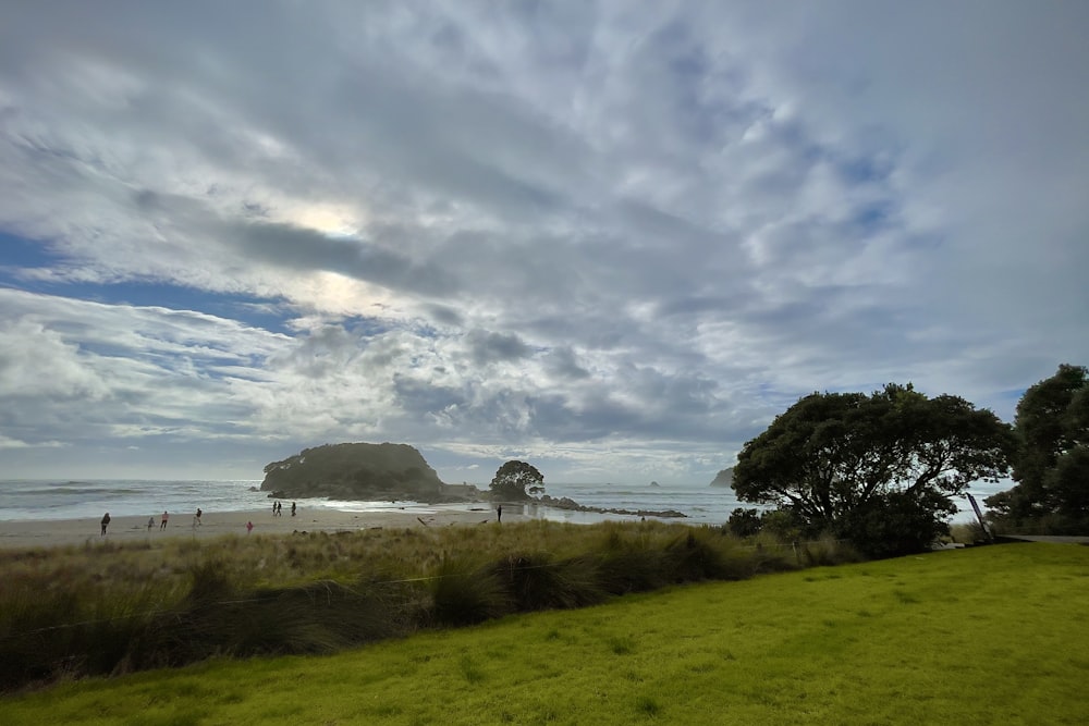 a grassy field next to the ocean under a cloudy sky