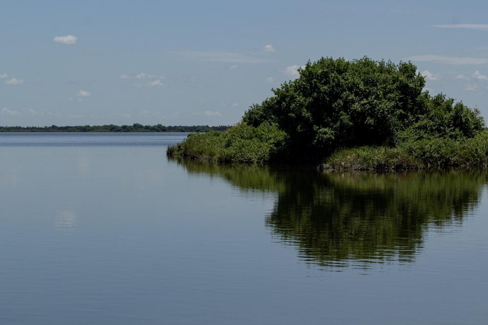 a large body of water surrounded by trees