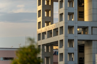 The image captures a modern architectural building with a grid-like structure and a sign that reads 'Fuji Television.' The sunlight casts a warm glow on the building, creating a contrast with the blue sky. A blurry green foreground element partially obscures the lower part of the image.