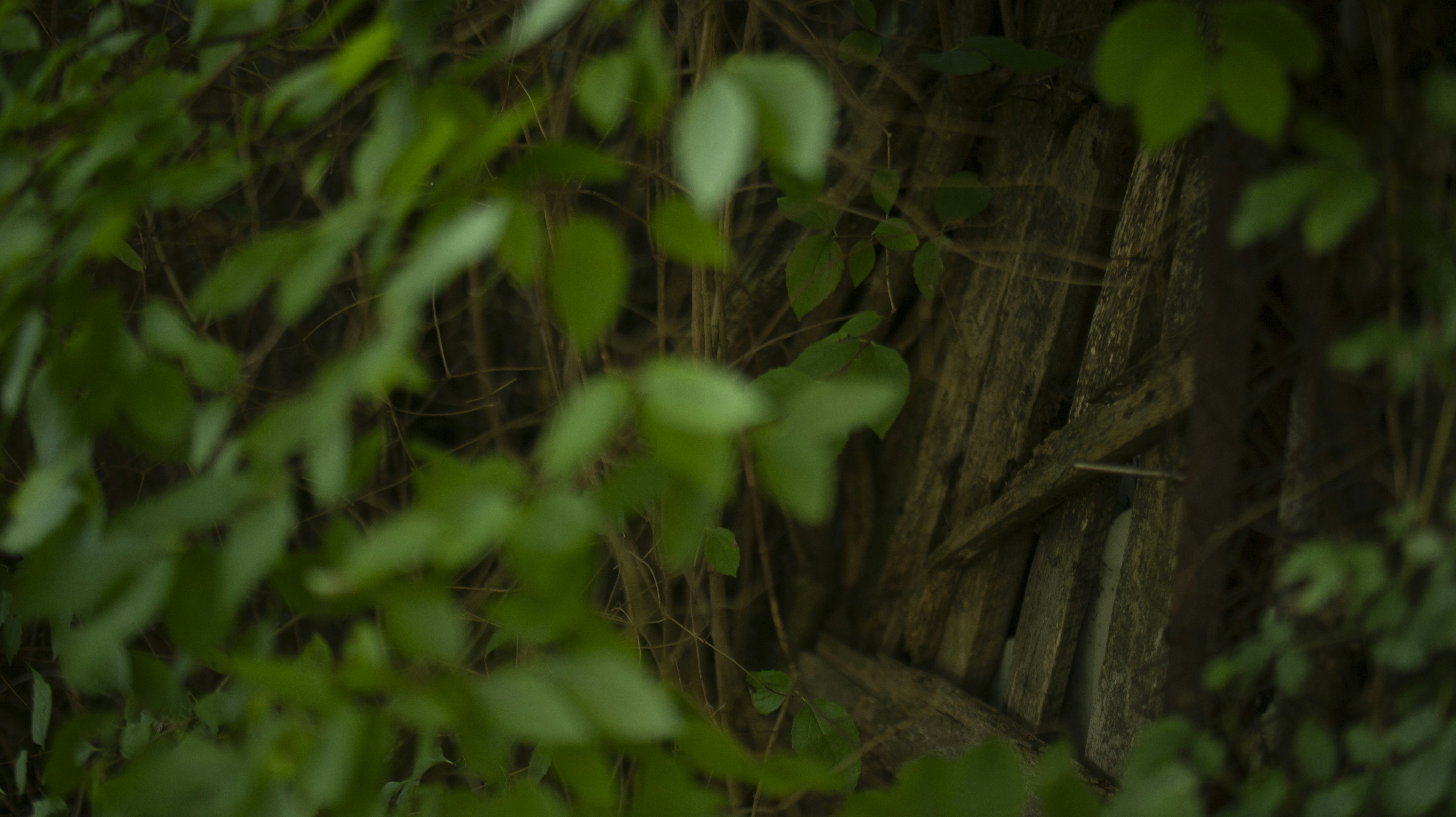 Photo by fotograficznahistoria