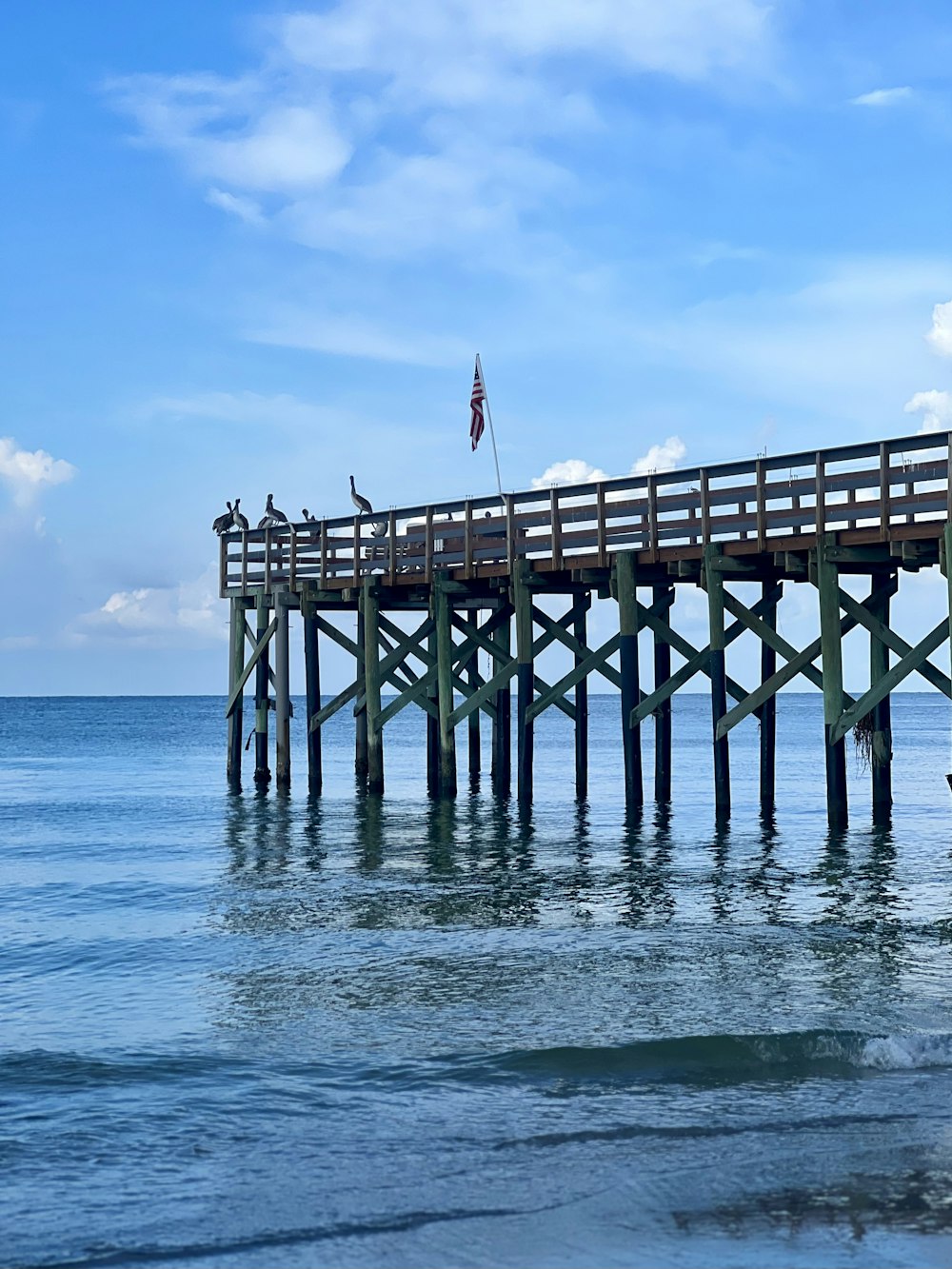 a pier with birds sitting on top of it