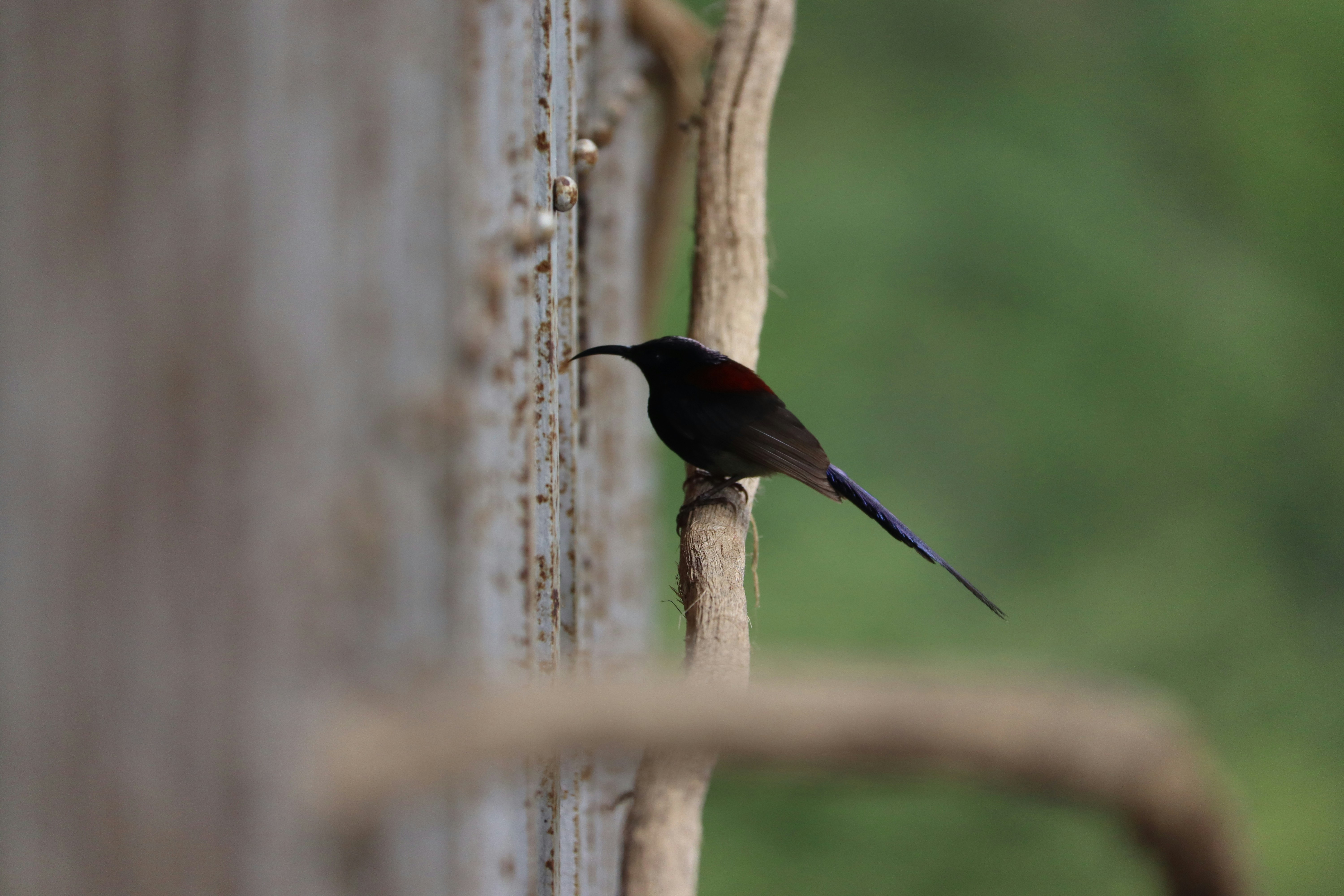 Photo by soonamwooeser