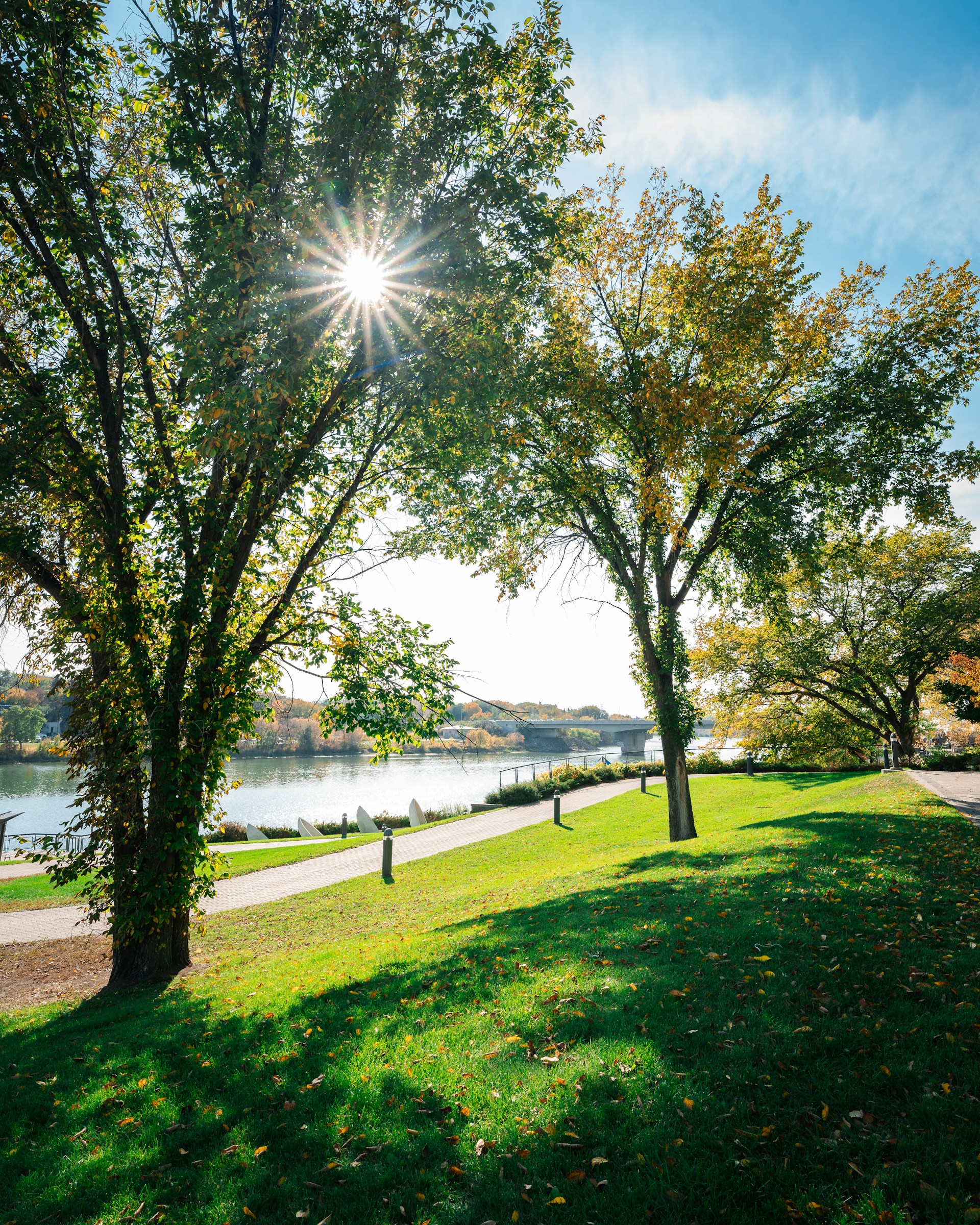 the sun shines brightly through the trees near the water